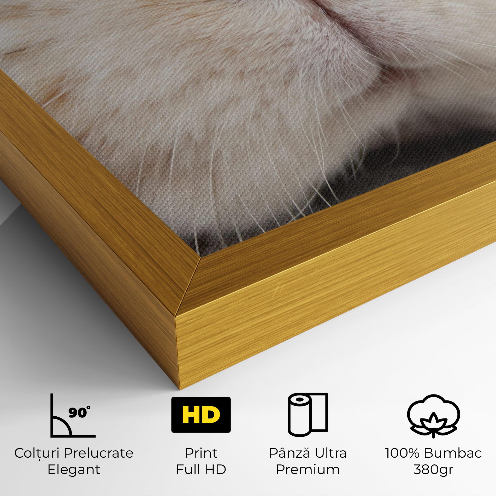 Tablou Canvas Close Up Bunny mockup 4