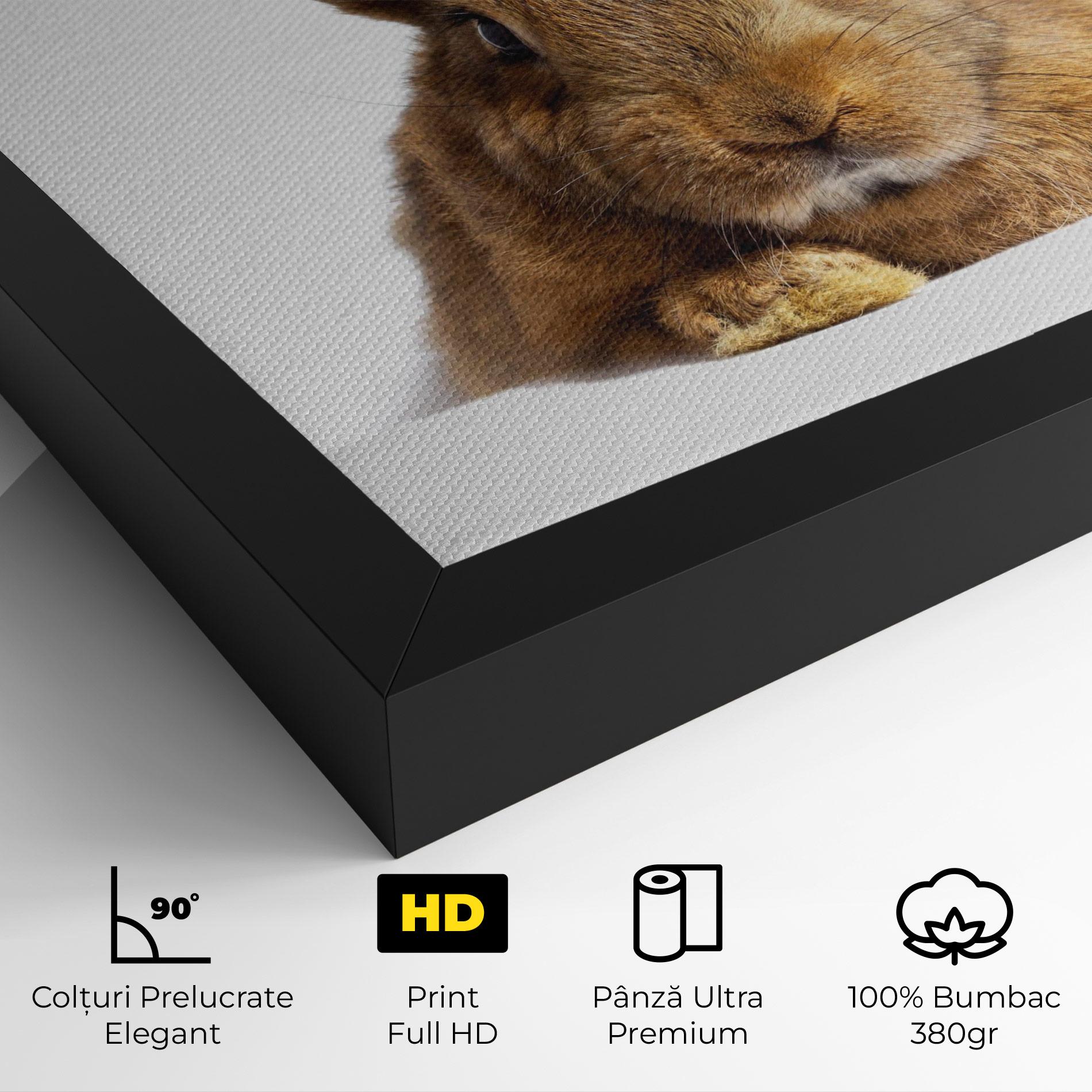 Tablou Canvas Brown Cute Bunny mockup 4
