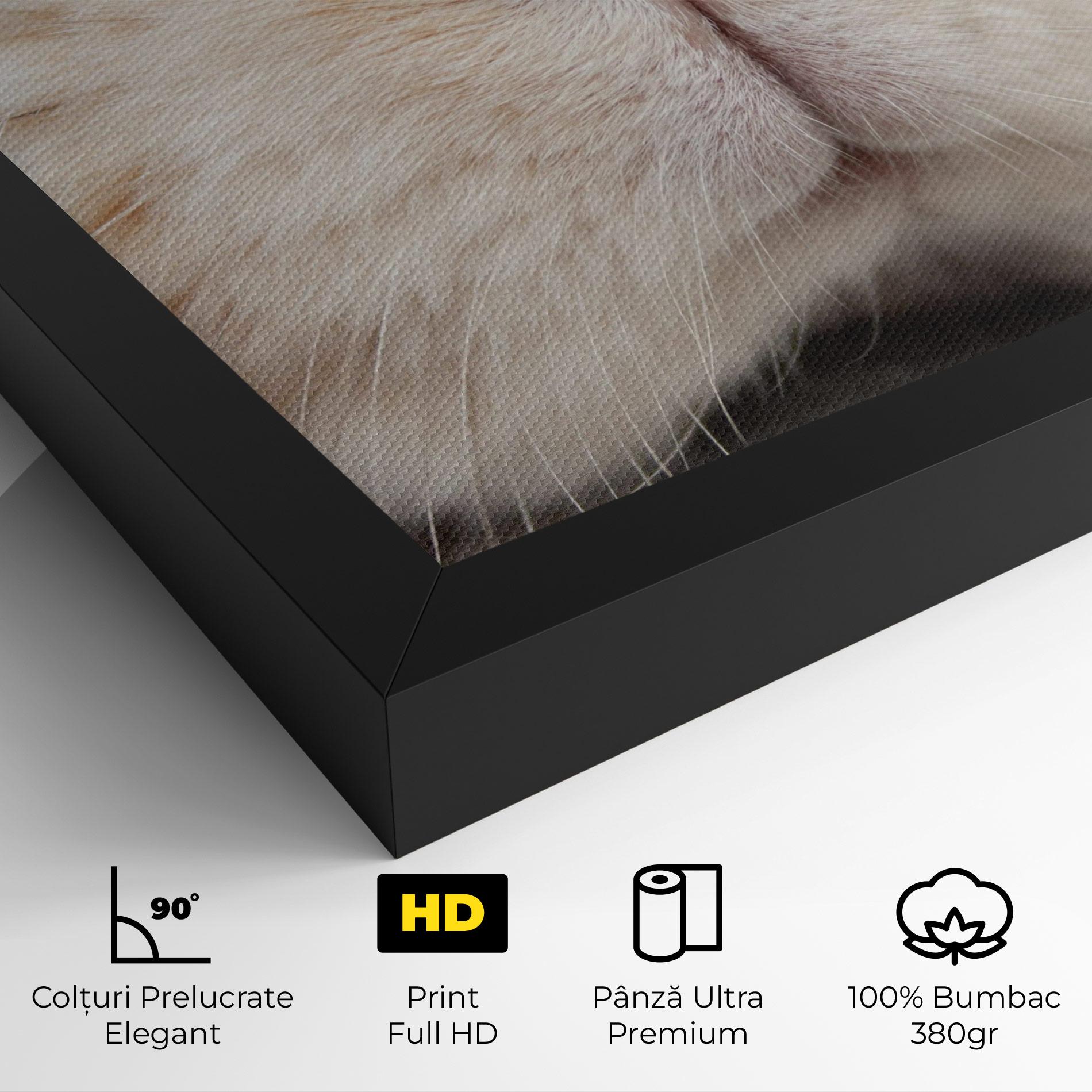 Tablou Canvas Close Up Bunny mockup 4