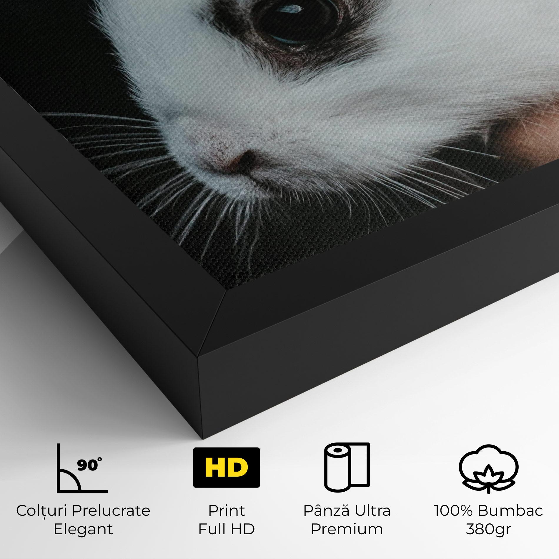 Tablou Canvas Holding Cute Bunny mockup 4