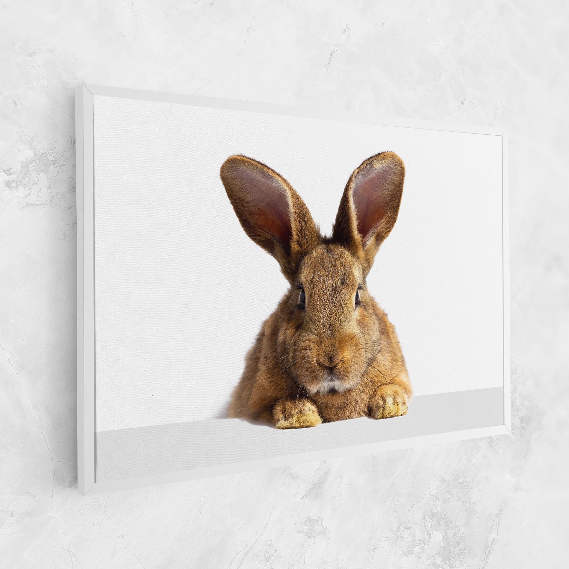 Brown Cute Bunny mockup 1