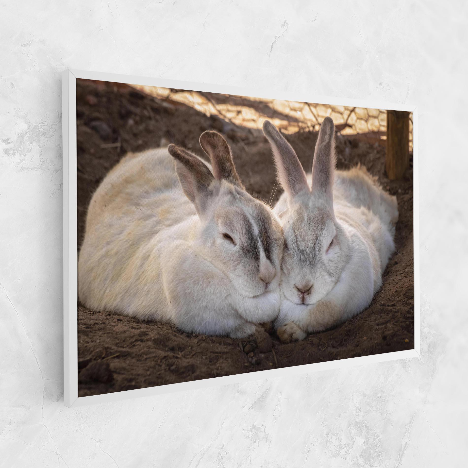 Tablou Canvas Light Grey Bunny Sleeping mockup 1