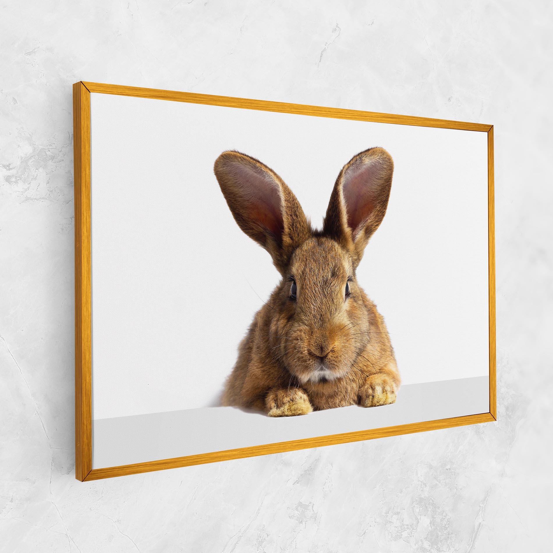 Tablou Canvas Brown Cute Bunny mockup 1