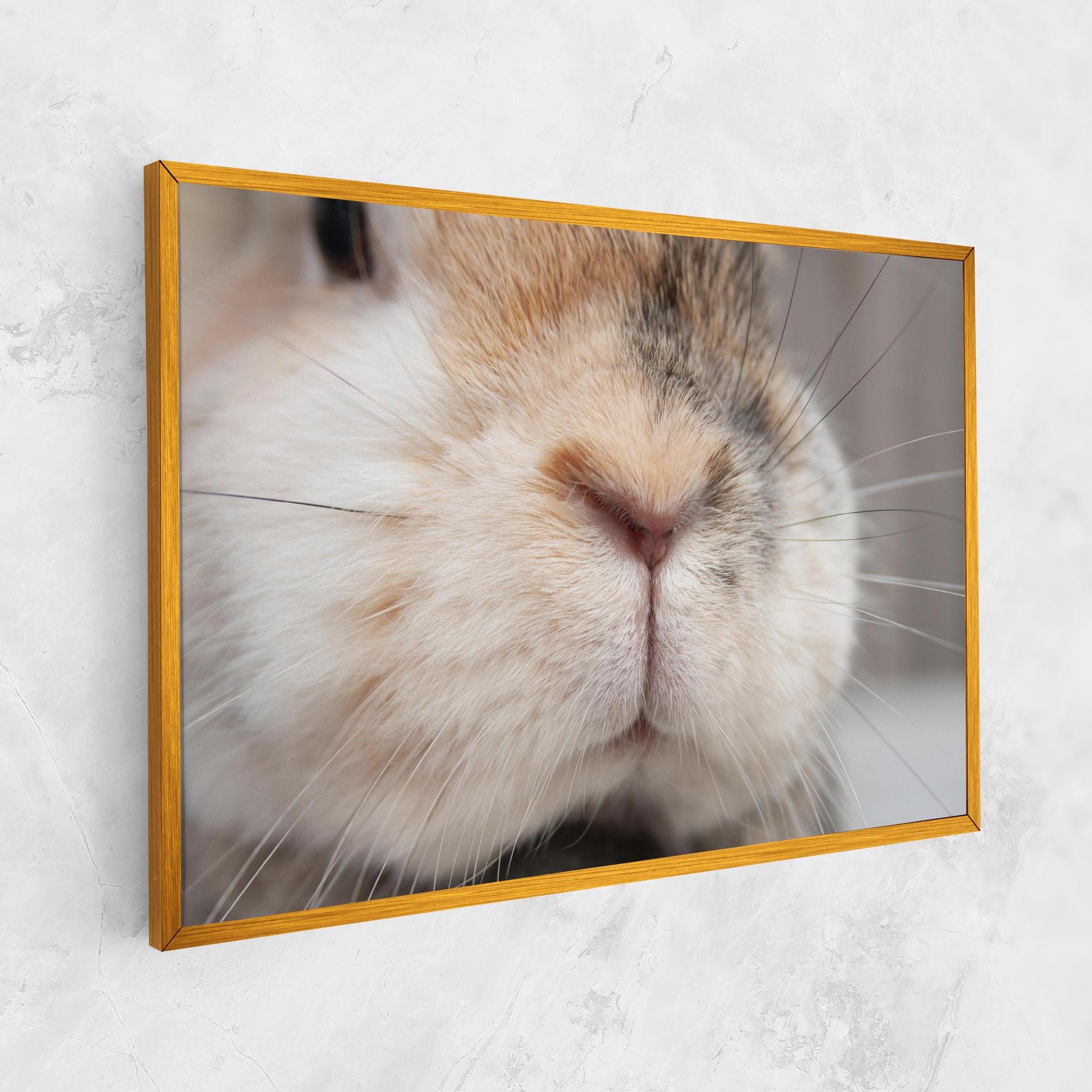 Tablou Canvas Close Up Bunny mockup 1