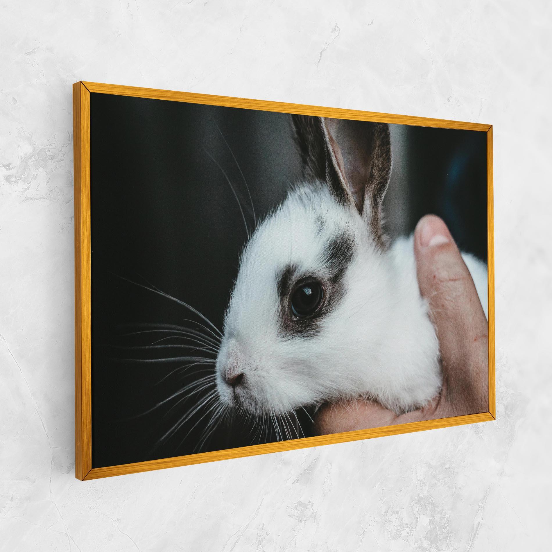 Tablou Canvas Holding Cute Bunny mockup 1
