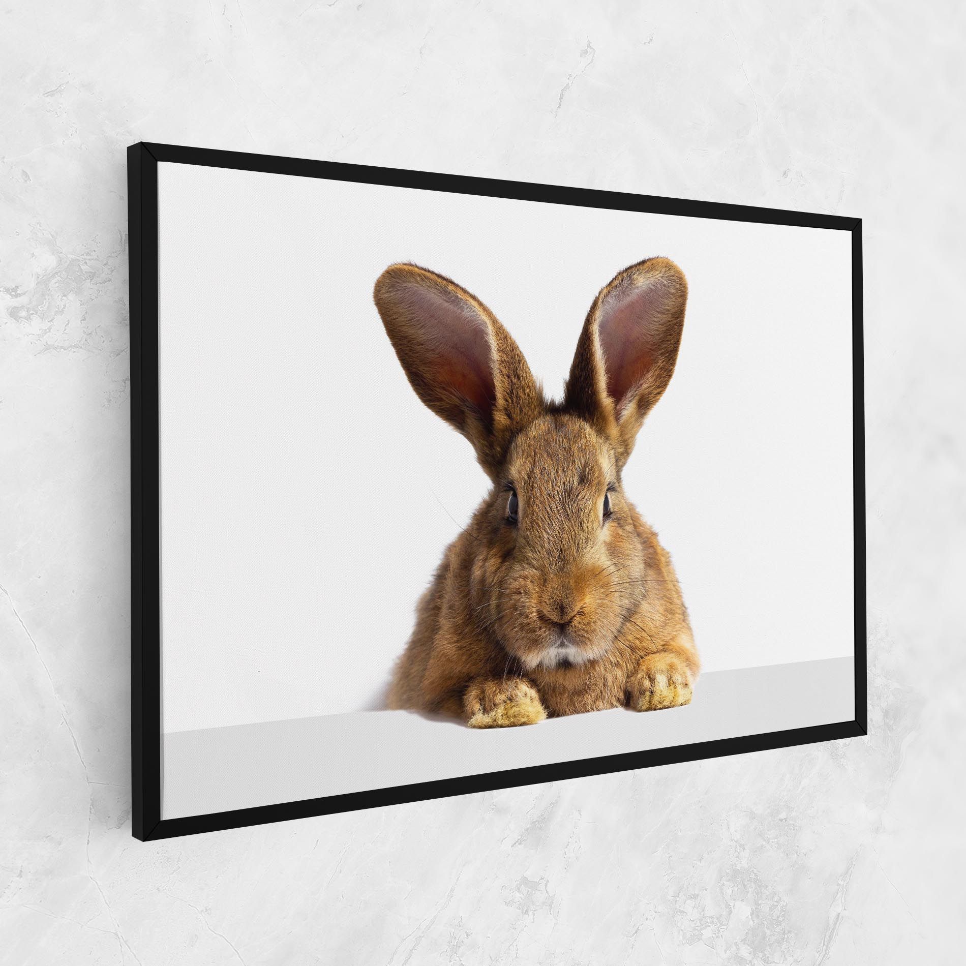 Brown Cute Bunny mockup 1