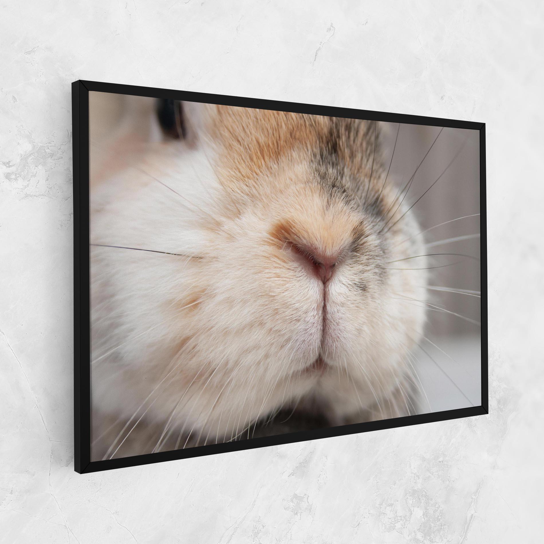 Tablou Canvas Close Up Bunny mockup 1