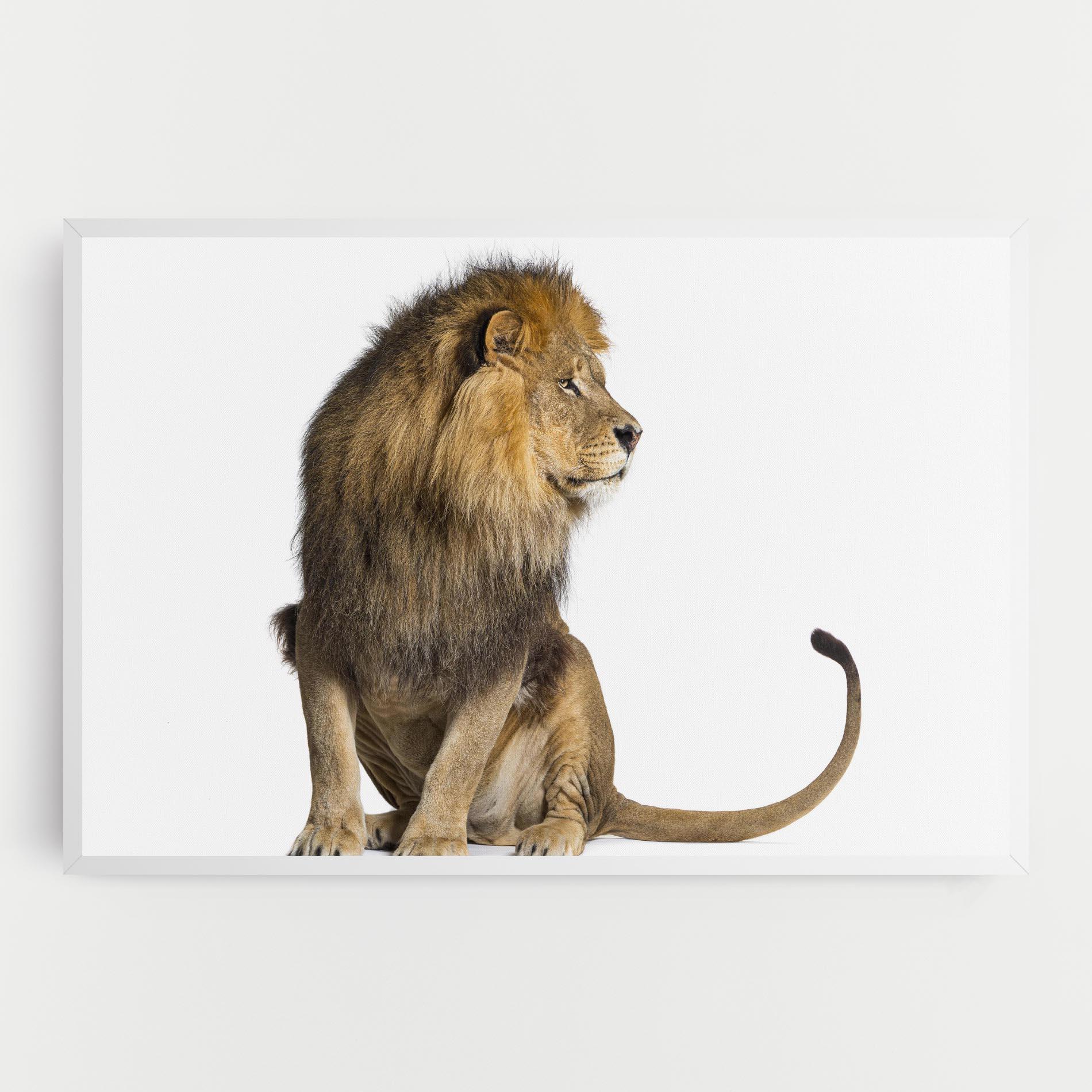 Tablou Canvas Big Lion mockup 0