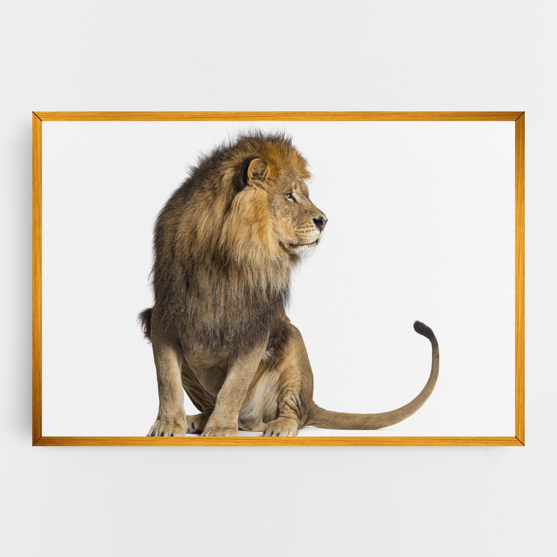 Tablou Canvas Big Lion mockup 0