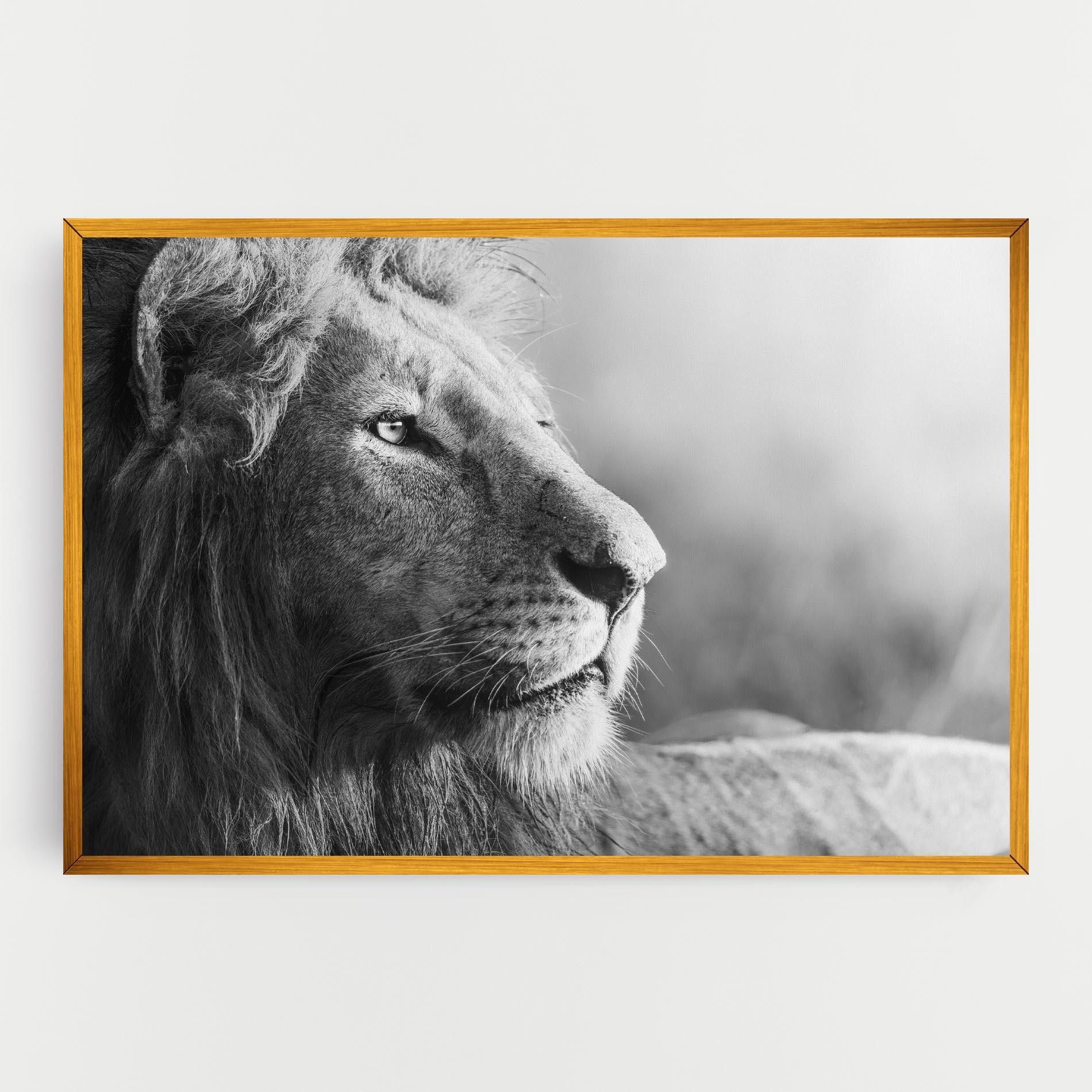 Tablou Canvas Grey Lion Head mockup 0