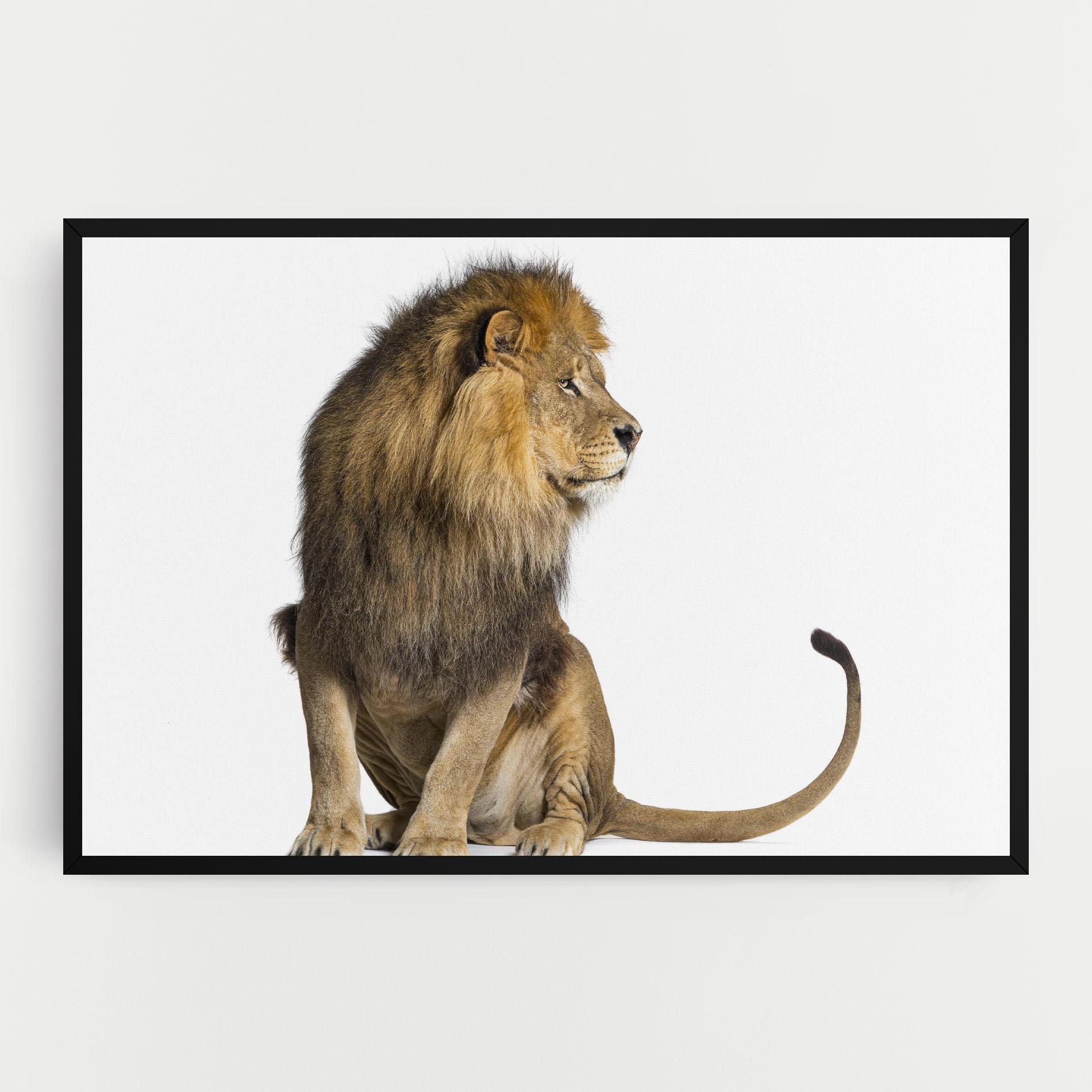 Tablou Canvas Big Lion mockup 0