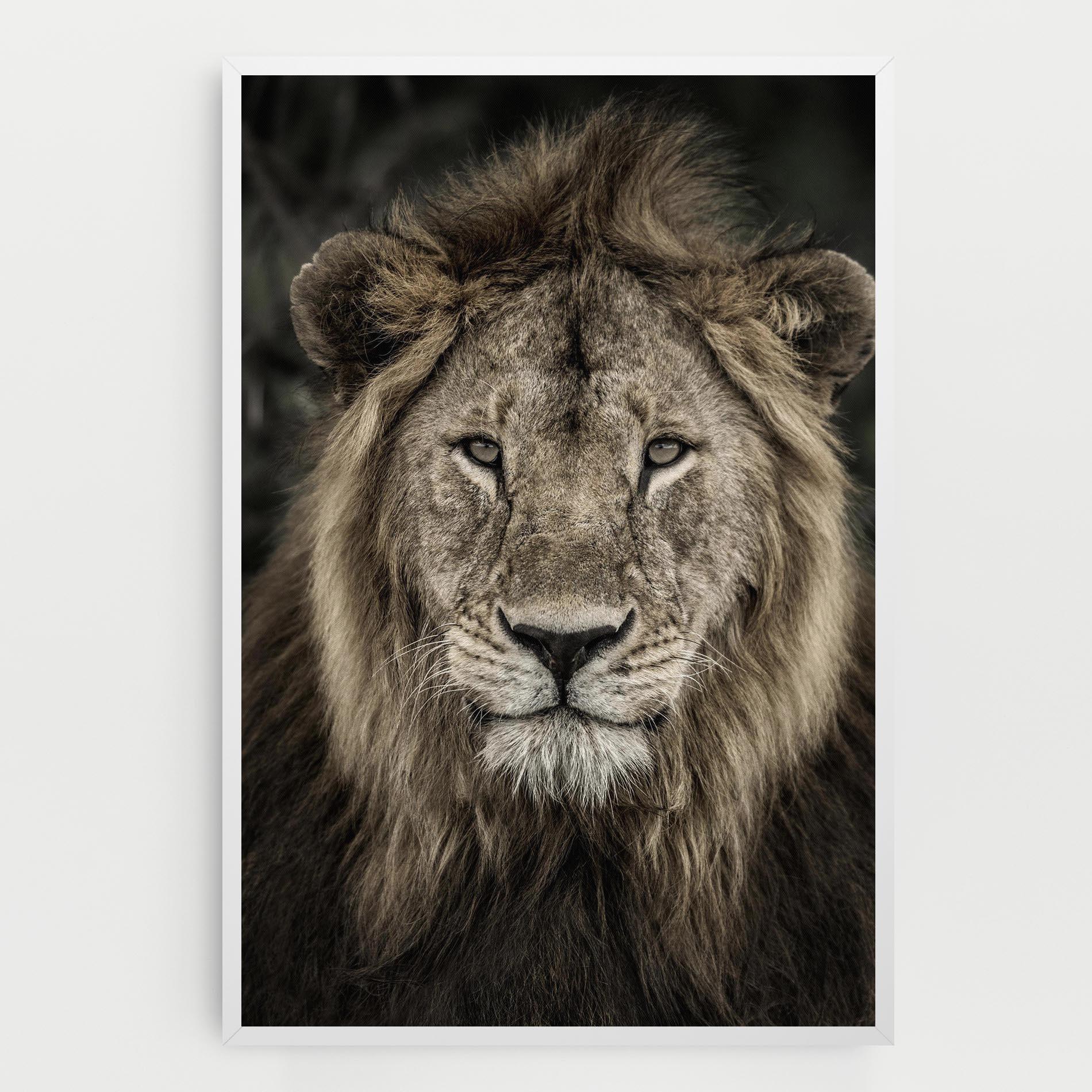 Tablou Canvas Lion Close Up mockup 0