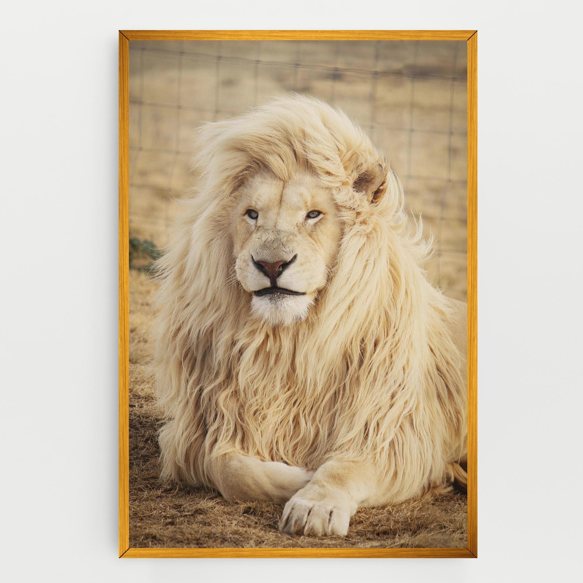 Tablou Canvas White Lion mockup 0