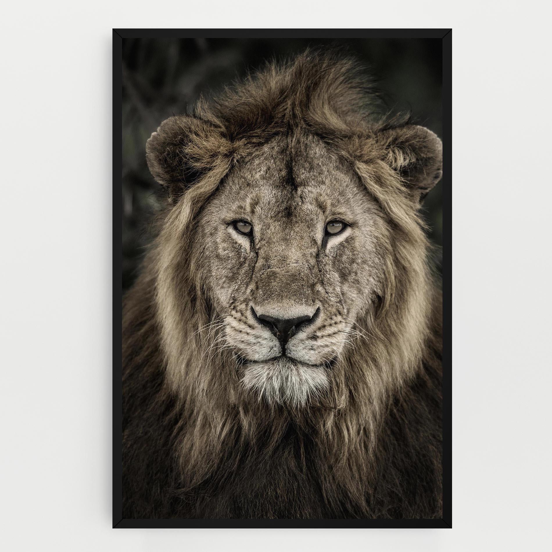 Tablou Canvas Lion Close Up mockup 0