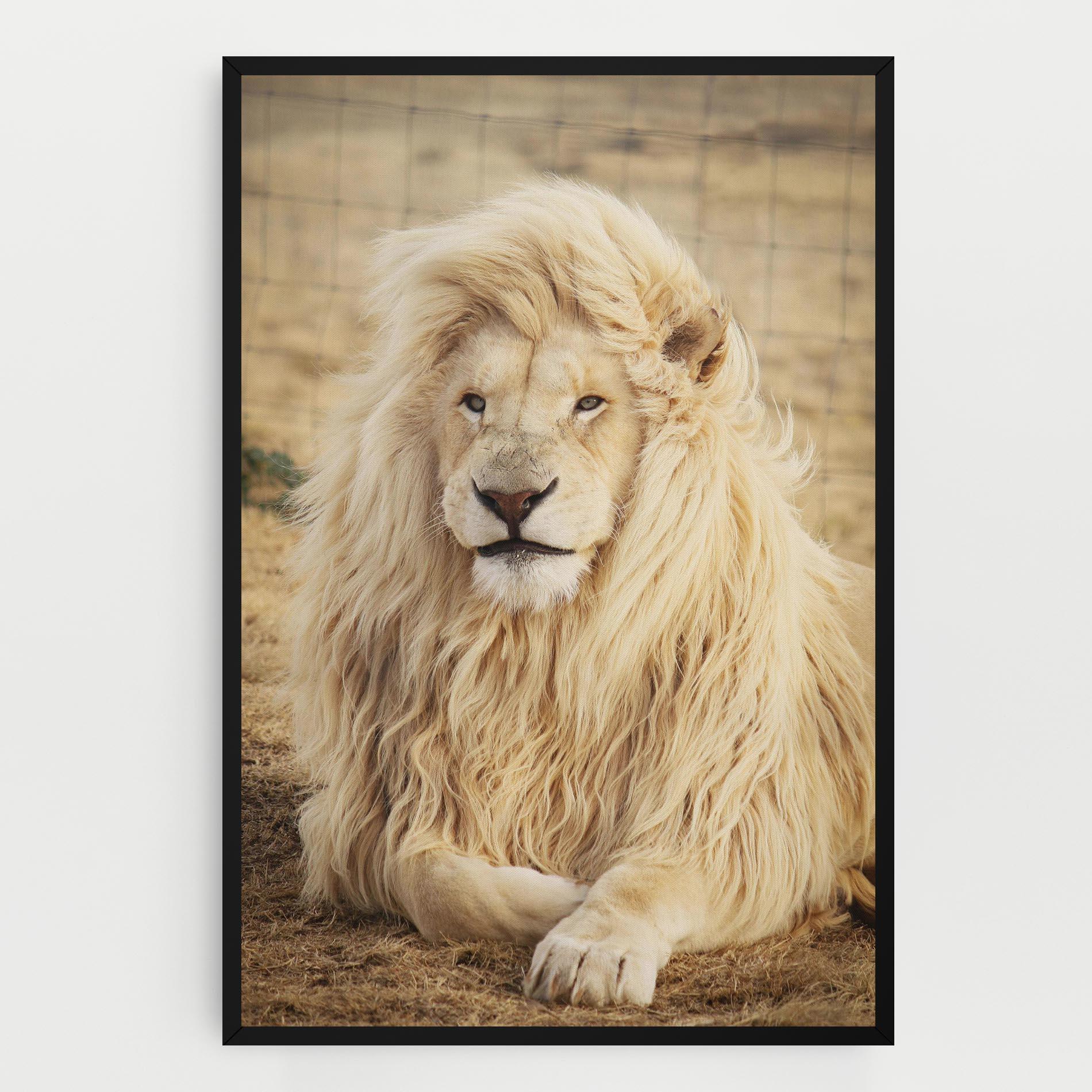 Tablou Canvas White Lion mockup 0
