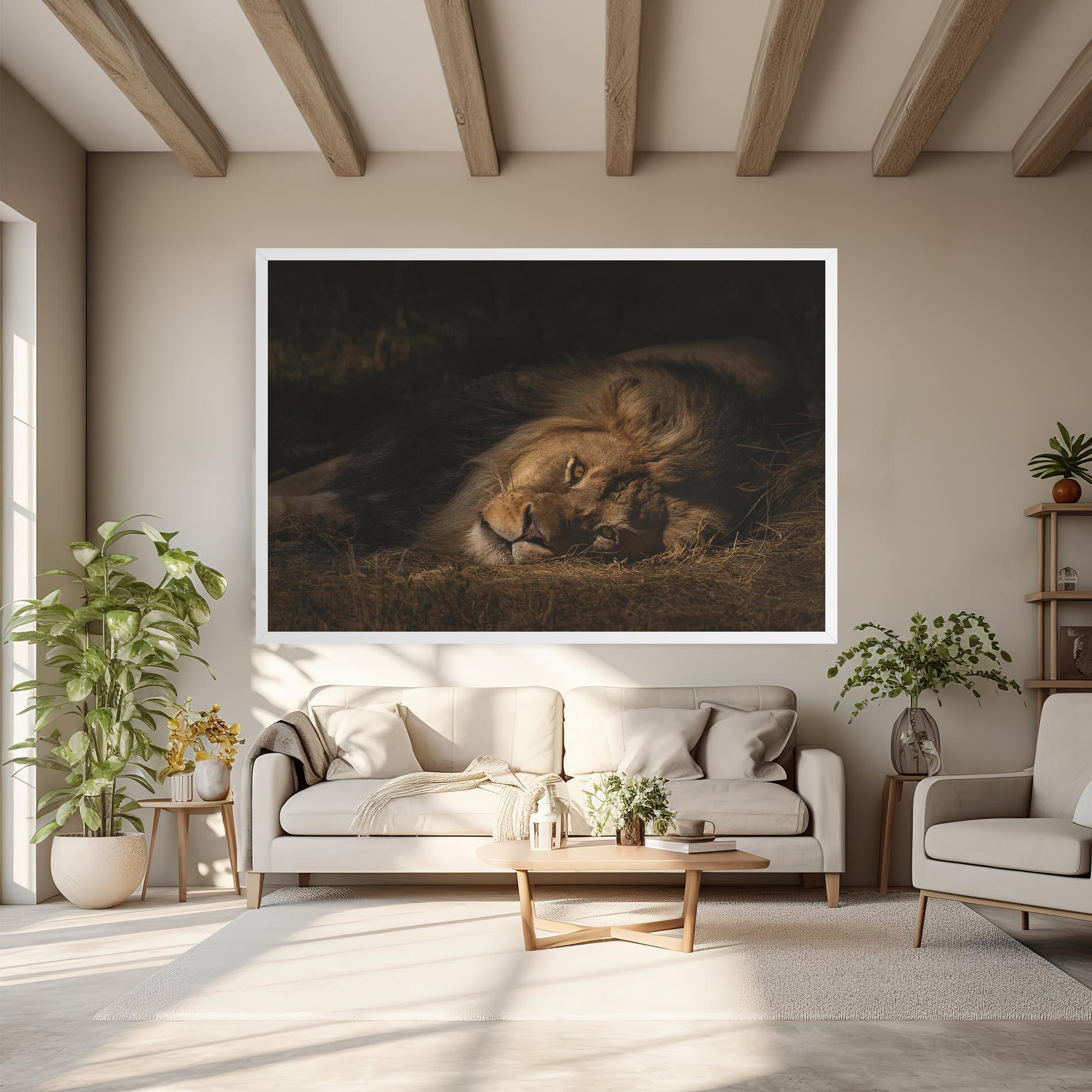 Tablou Canvas Lion Laying Down mockup 6
