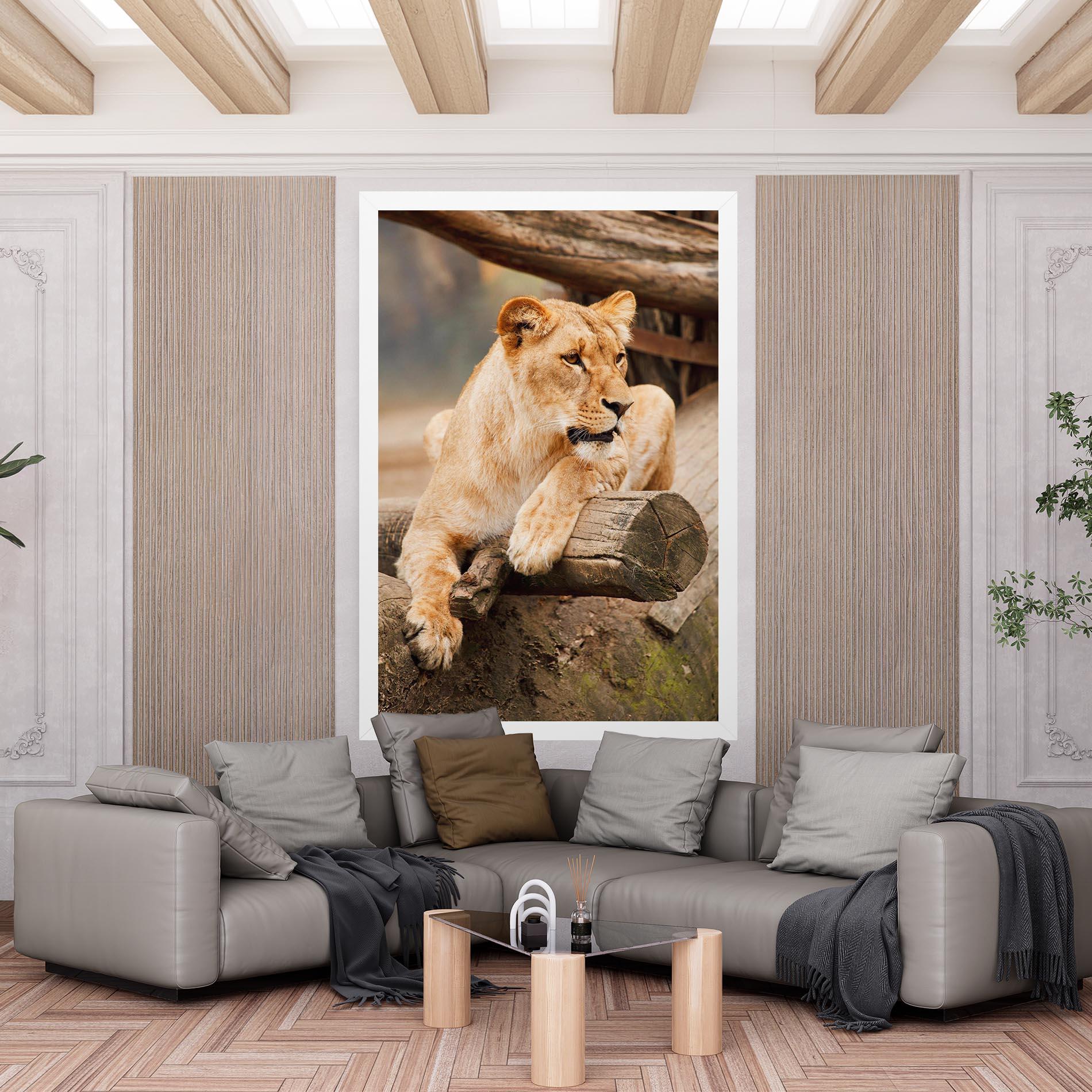 Tablou Canvas Female Lion Sitting mockup 6