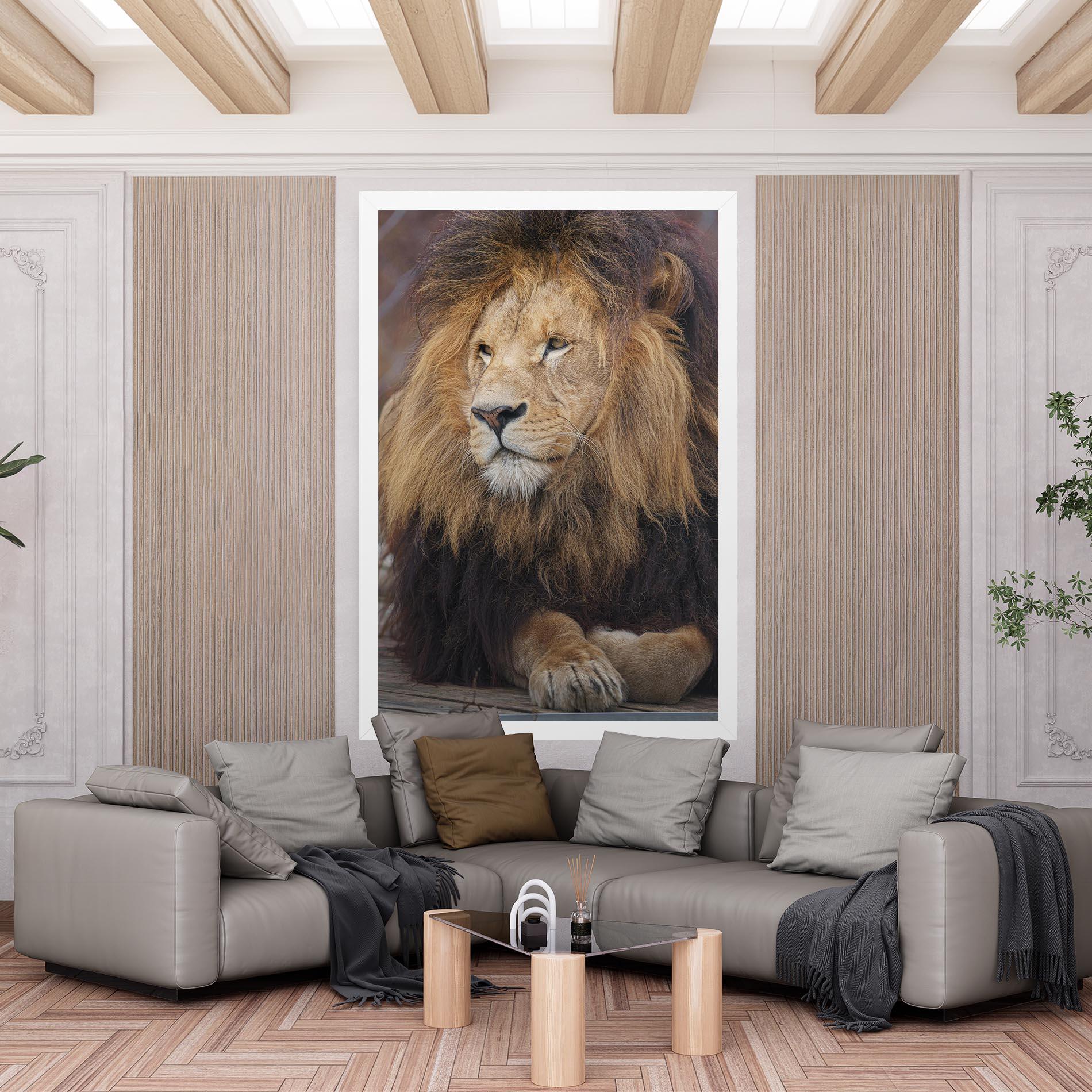 Tablou Canvas Lion Chilling mockup 6