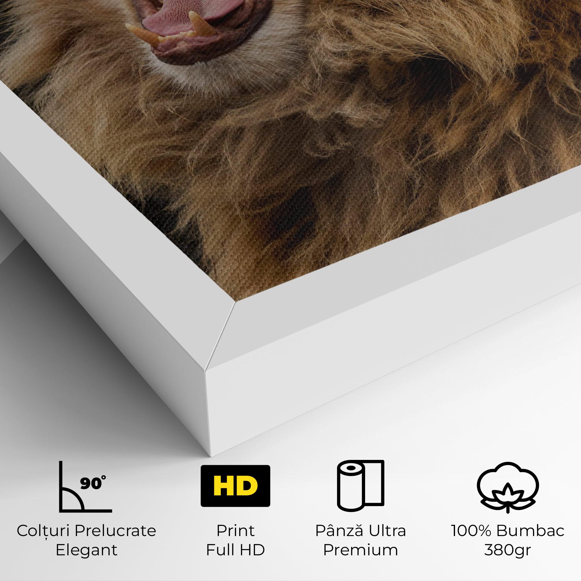 Tablou Canvas Angry Lion mockup 4