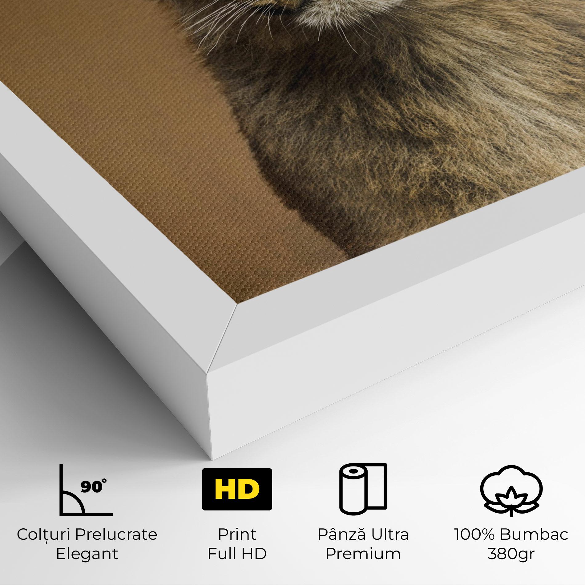 Tablou Canvas Baby Lion mockup 4