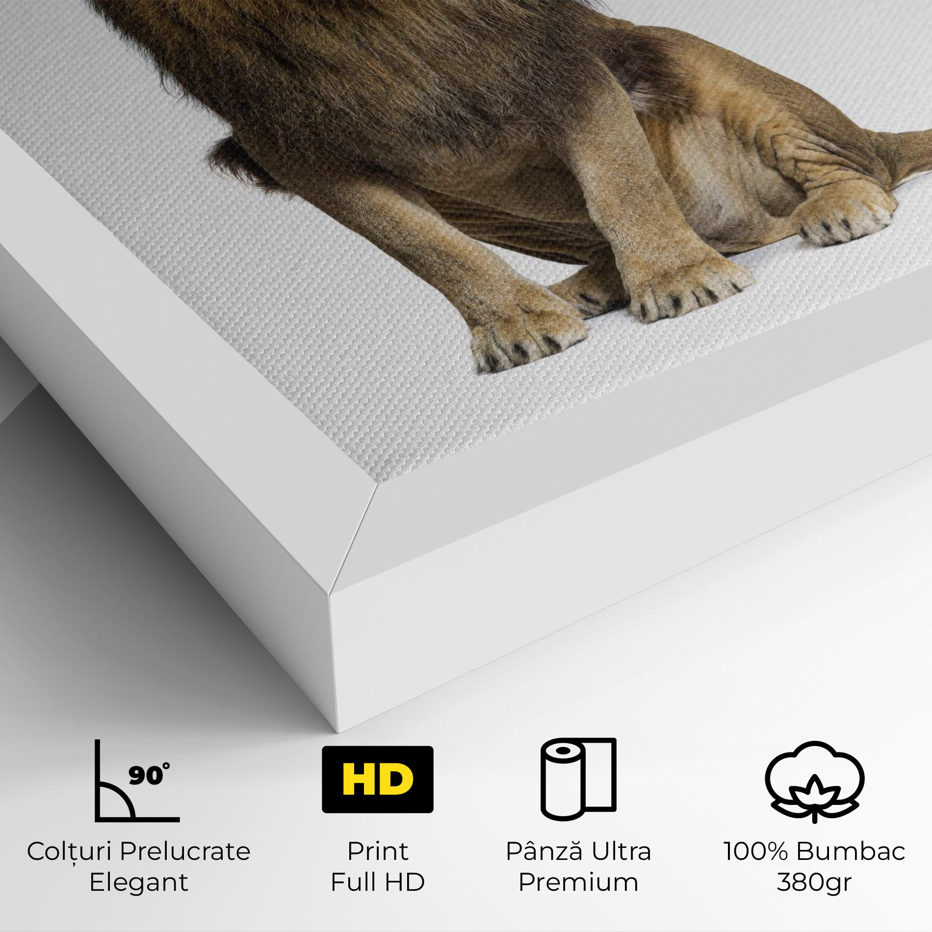 Tablou Canvas Big Lion mockup 4