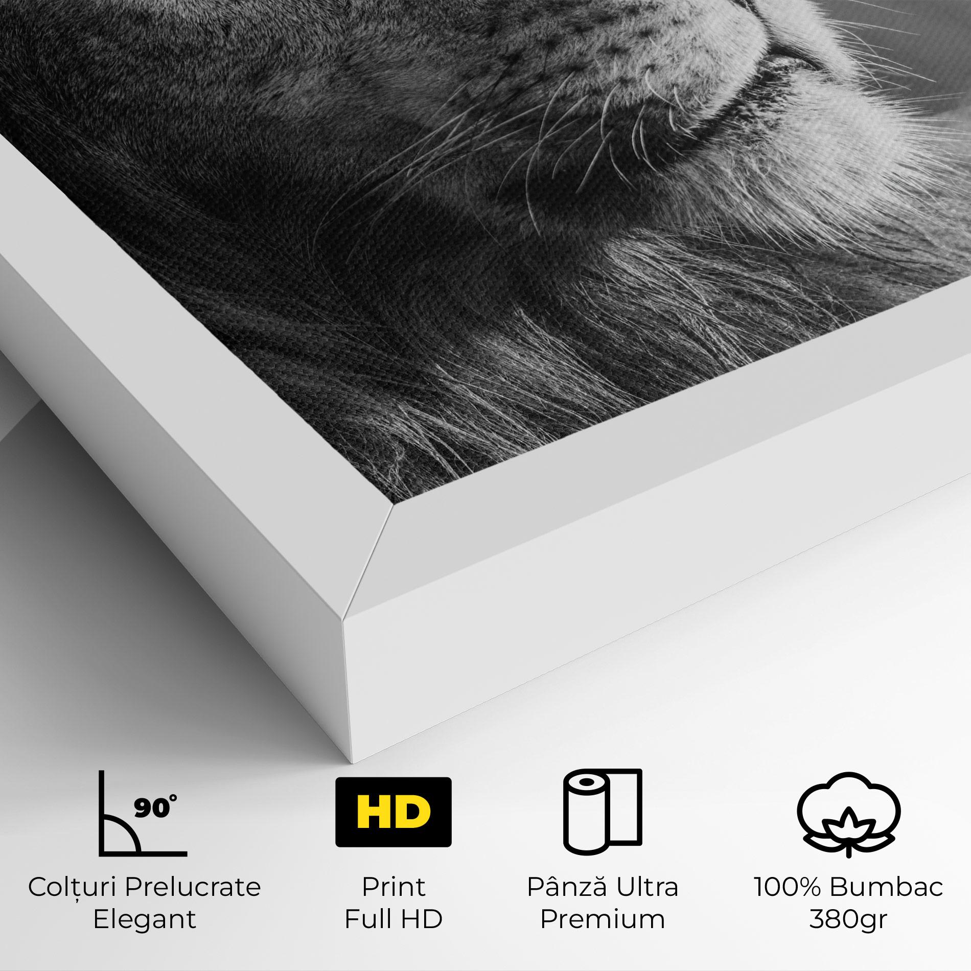 Tablou Canvas Grey Lion Head mockup 4