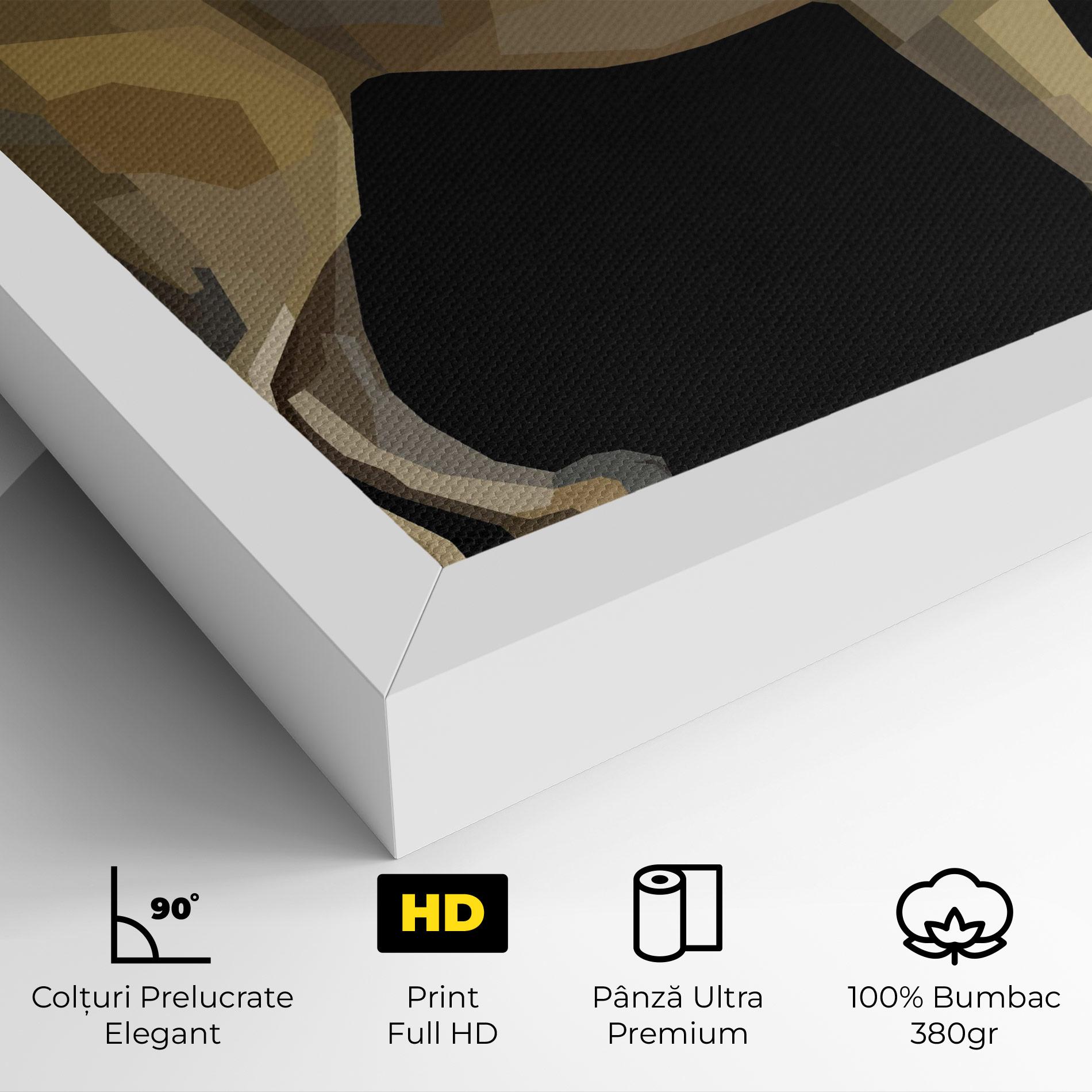 Tablou Canvas Lion Art On Black mockup 4