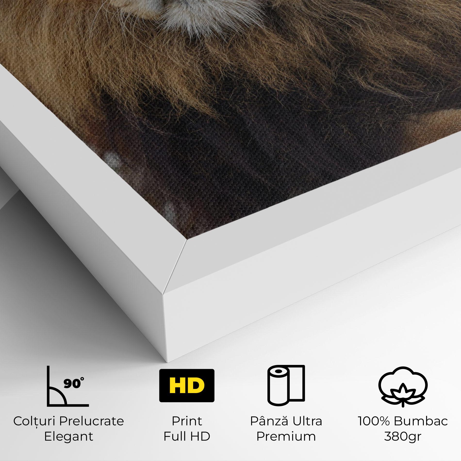 Tablou Canvas Lion Chilling mockup 4