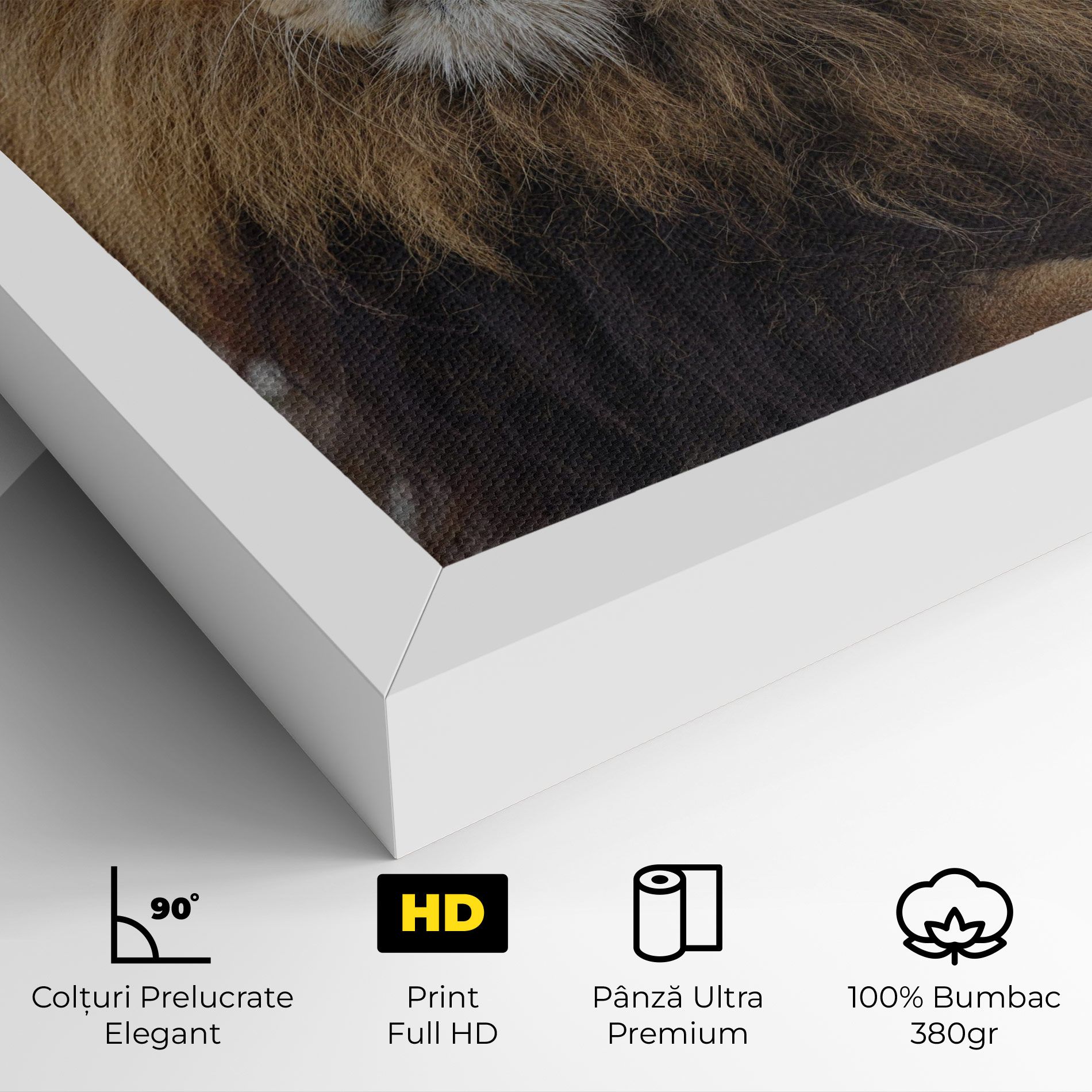 Lion Chilling mockup 4