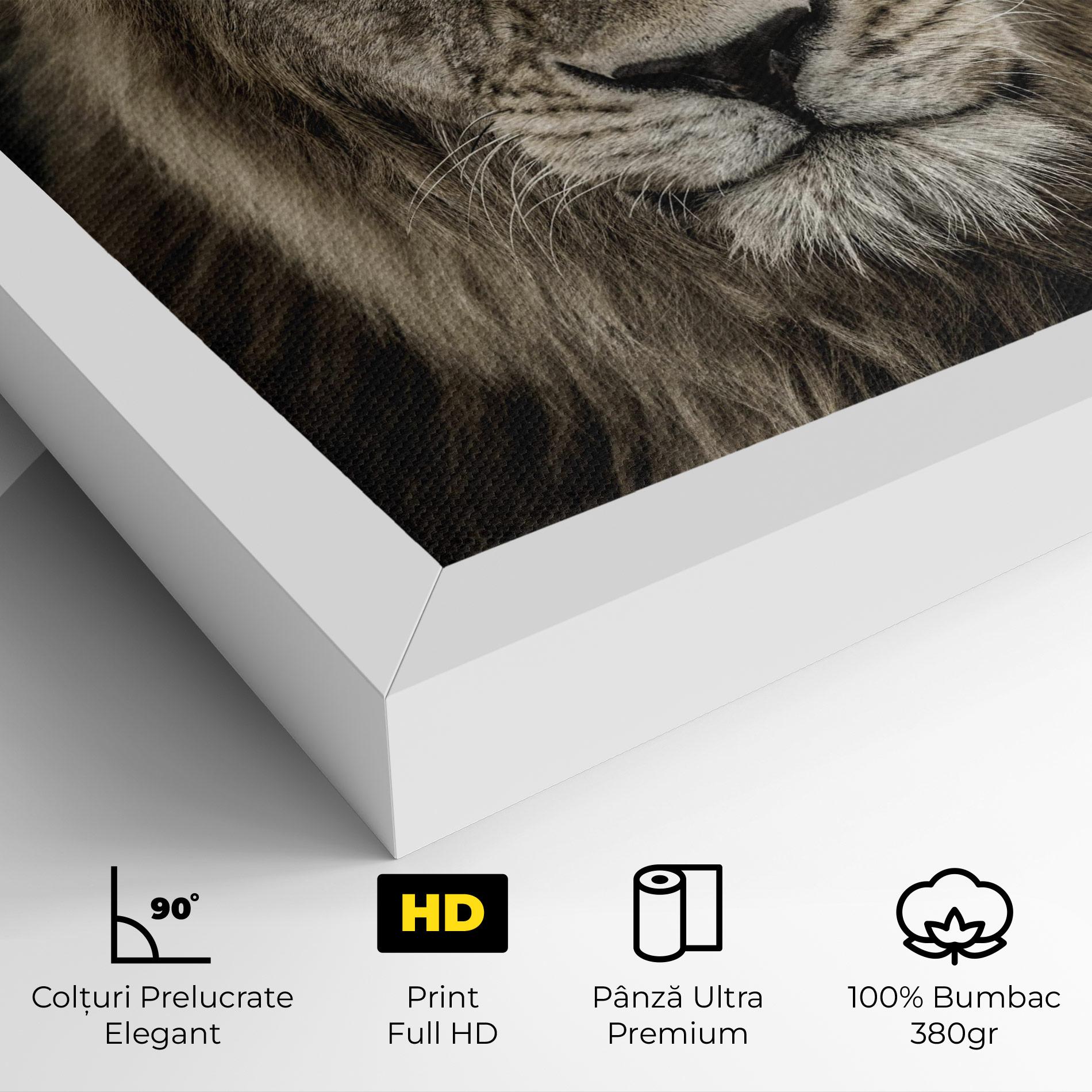 Tablou Canvas Lion Close Up mockup 4