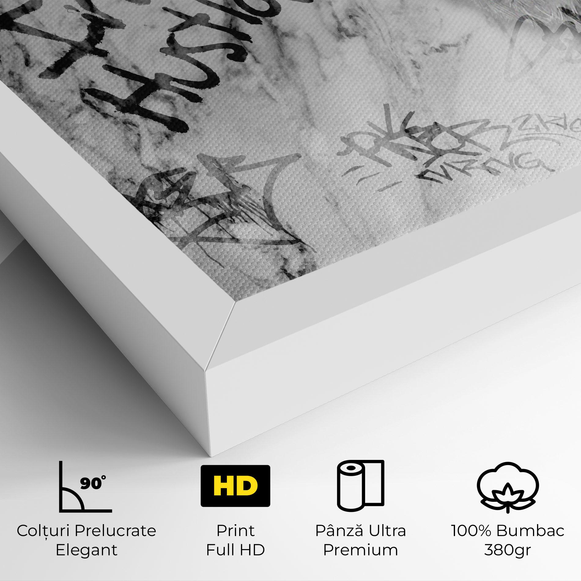 Tablou Canvas Lion Hustler mockup 4