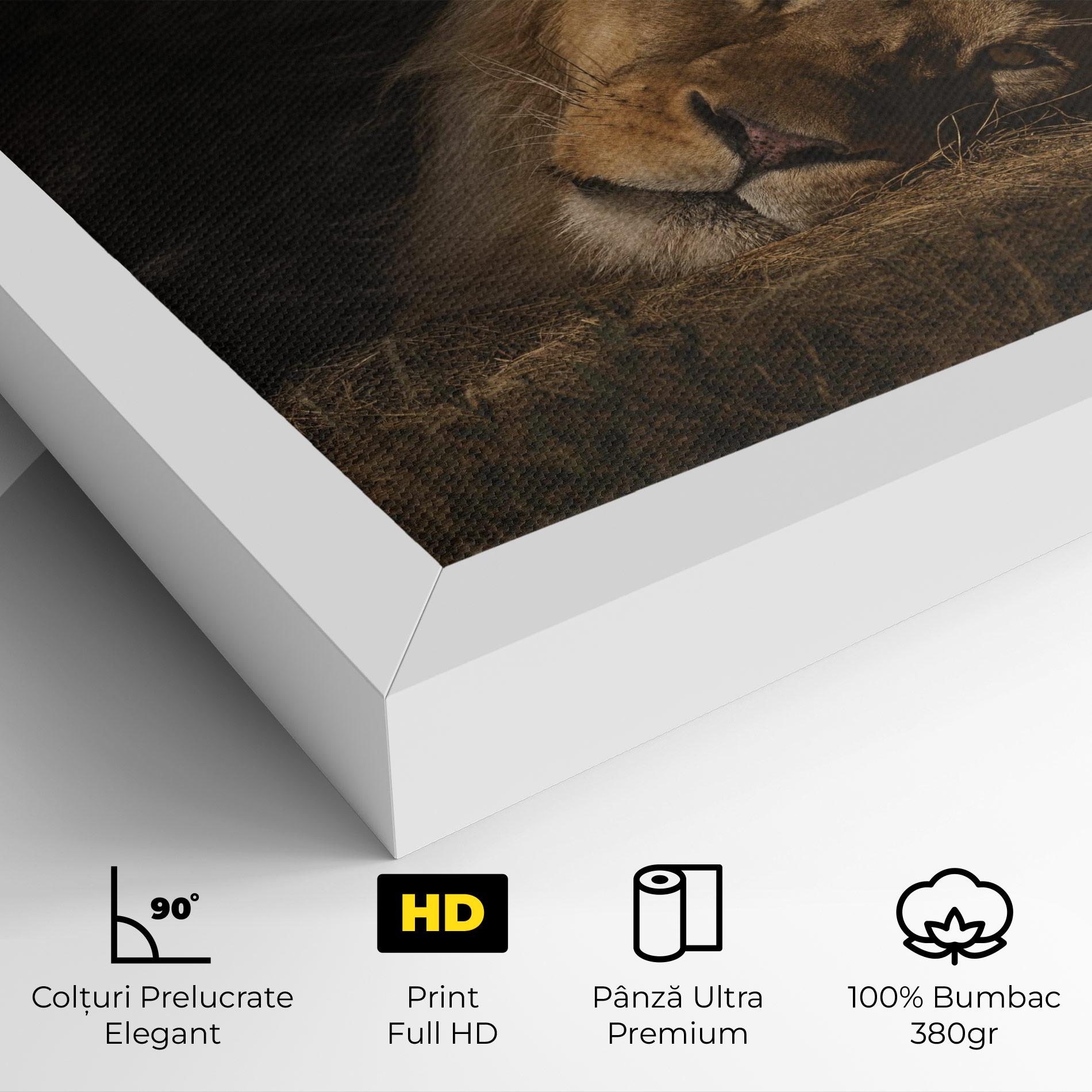 Tablou Canvas Lion Laying Down mockup 4