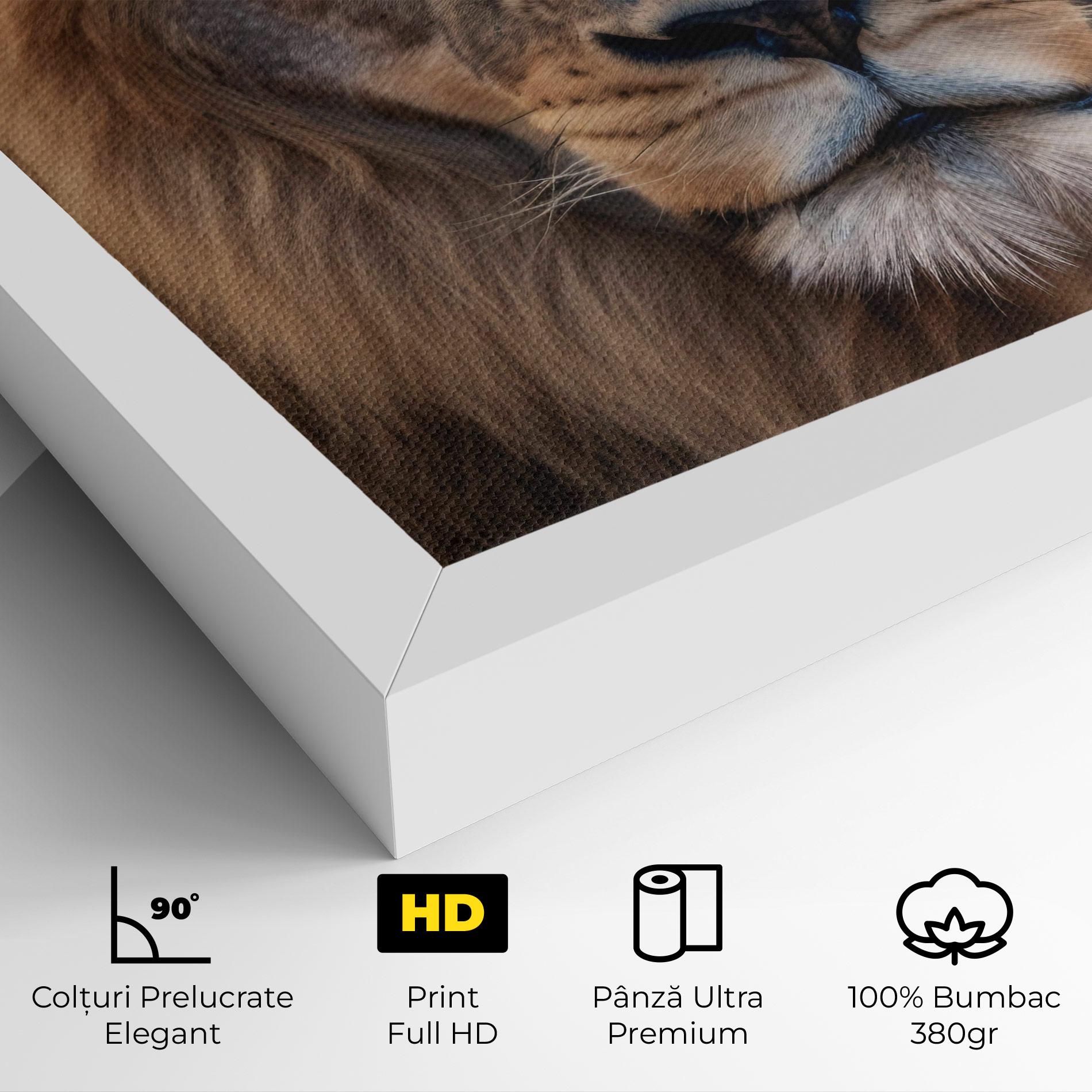 Tablou Canvas Wild Lion View mockup 4