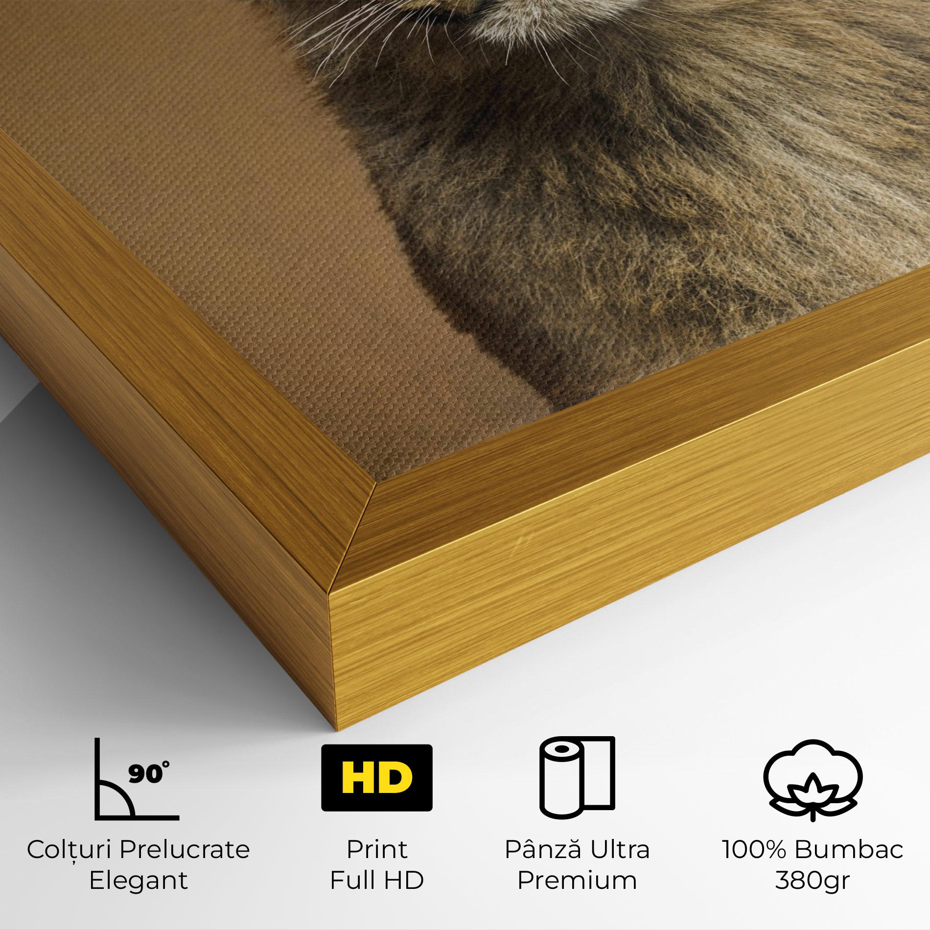 Tablou Canvas Baby Lion mockup 4