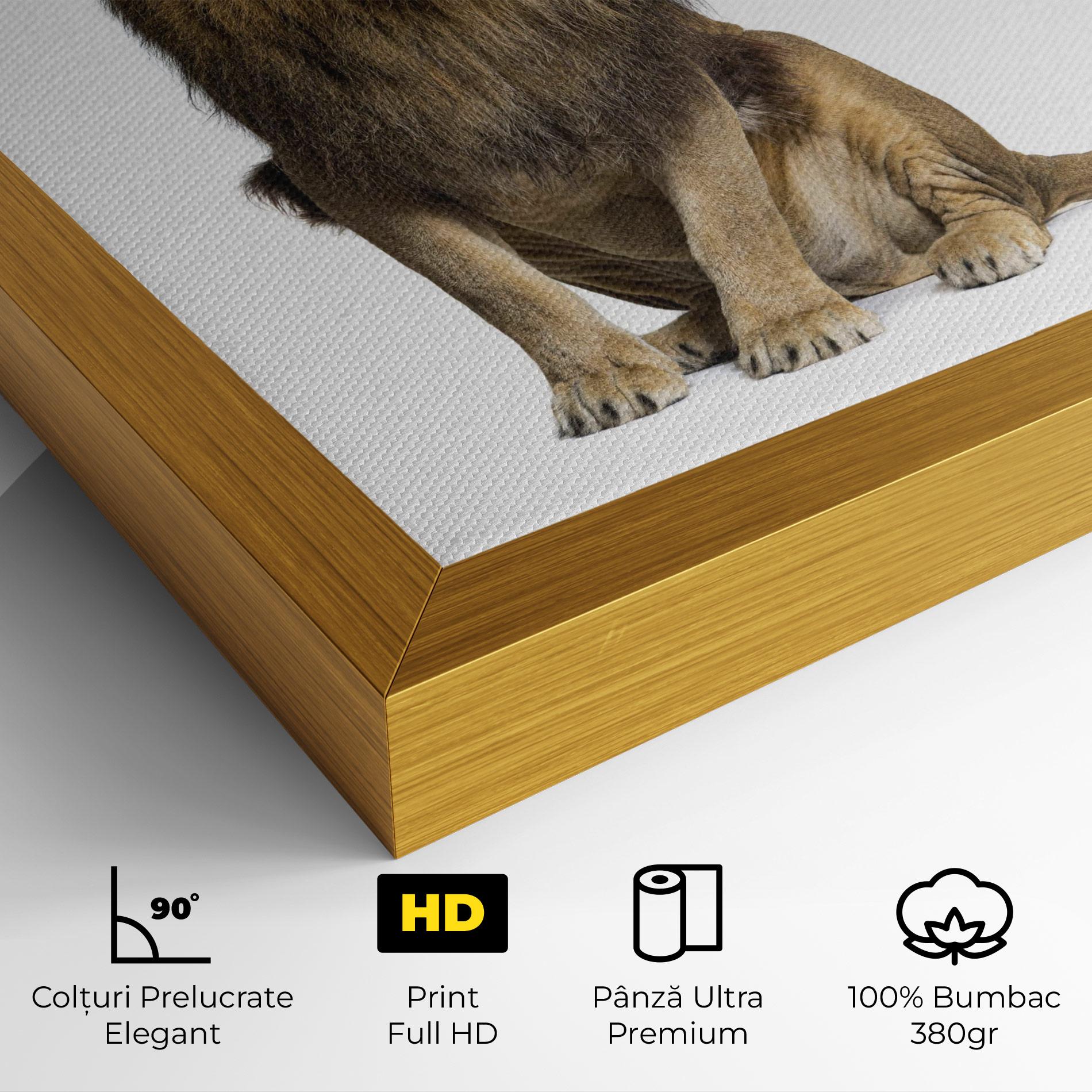 Tablou Canvas Big Lion mockup 4