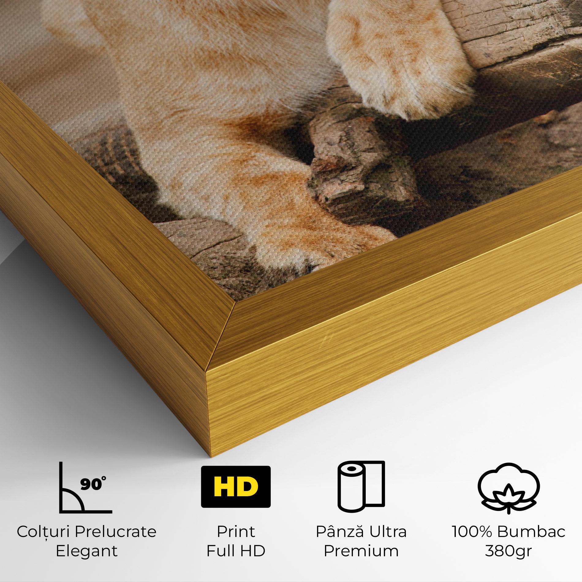 Tablou Canvas Female Lion Sitting mockup 4