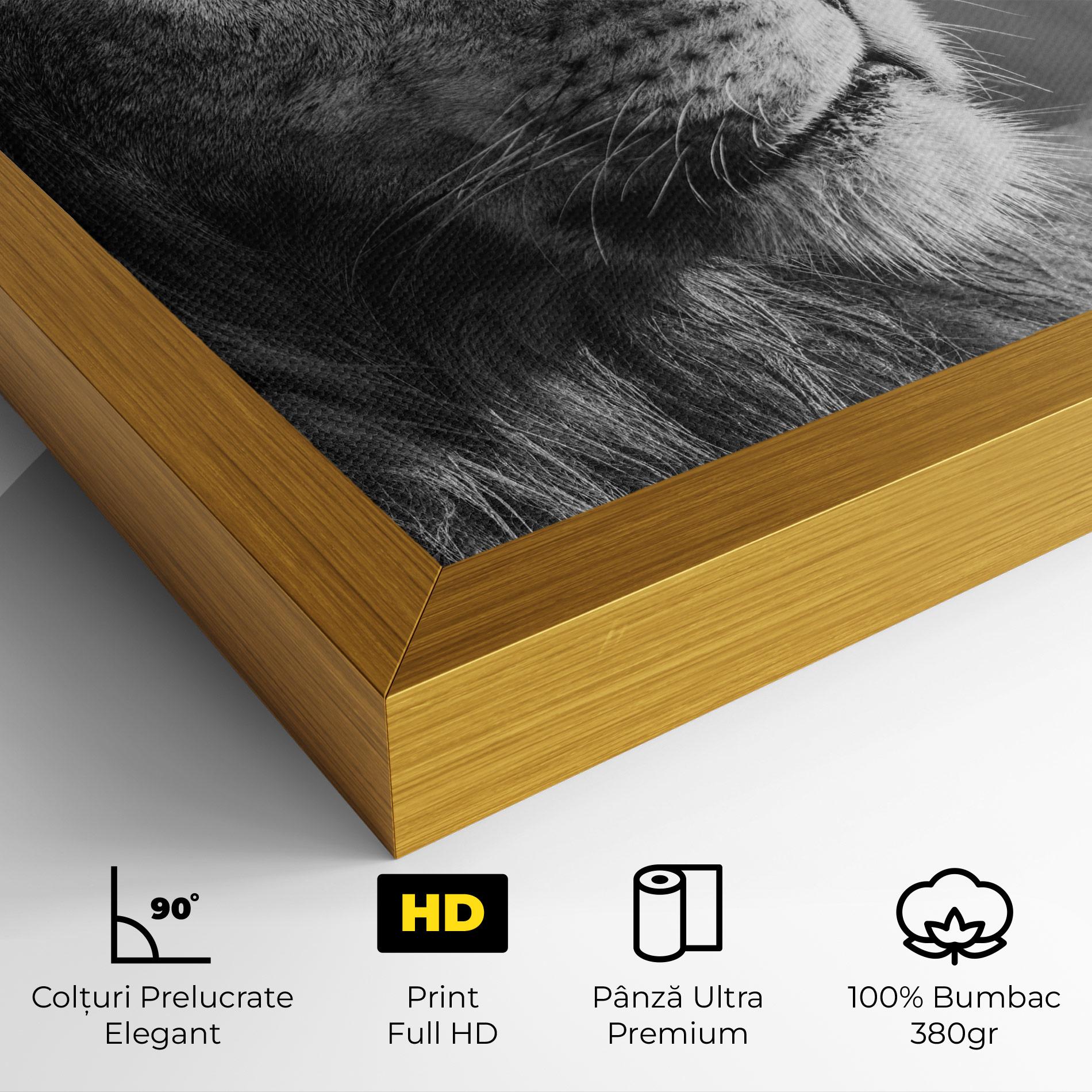 Tablou Canvas Grey Lion Head mockup 4
