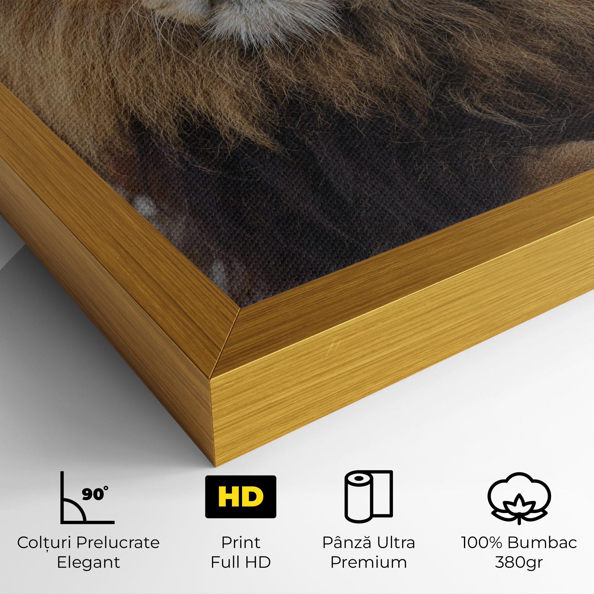 Tablou Canvas Lion Chilling mockup 4