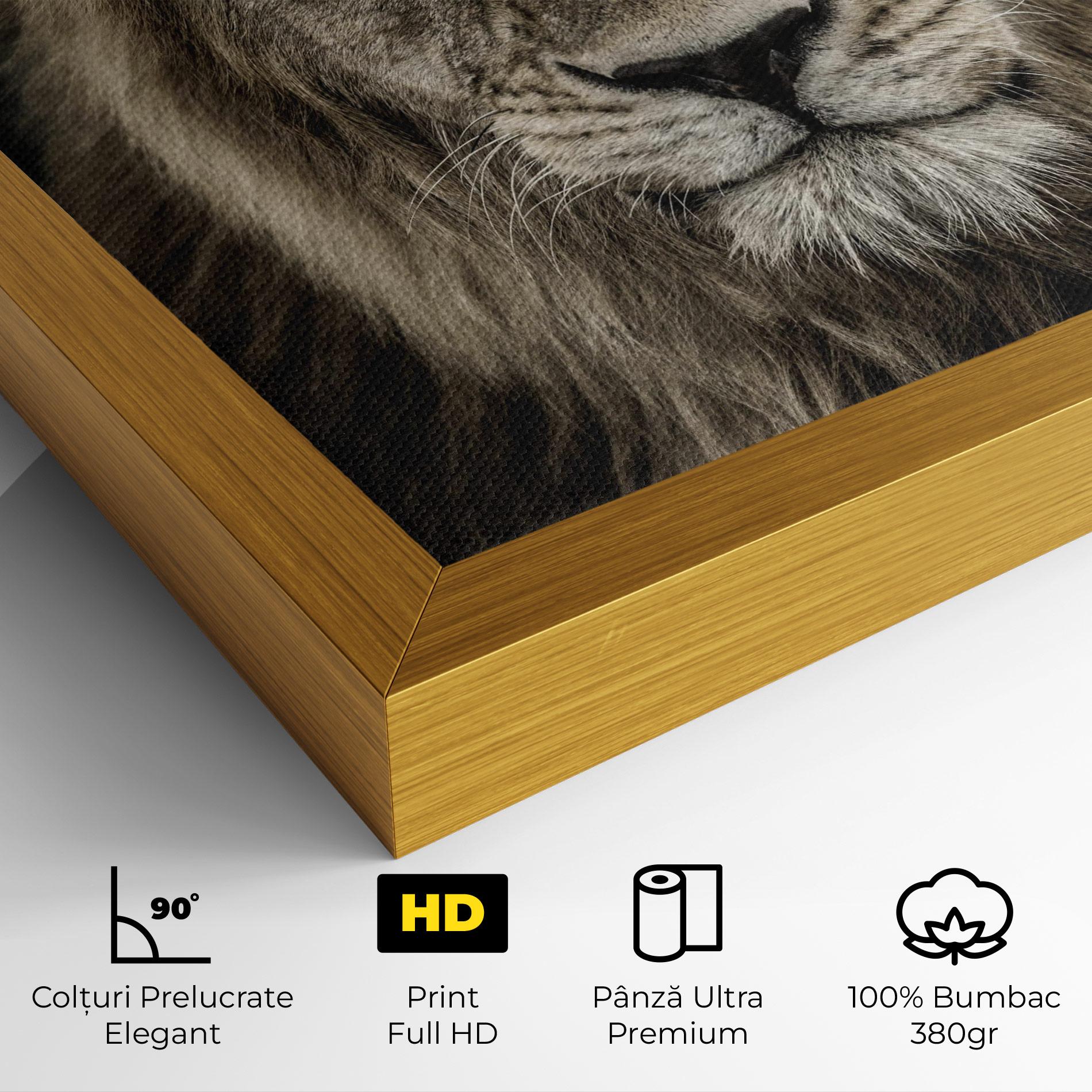Tablou Canvas Lion Close Up mockup 4