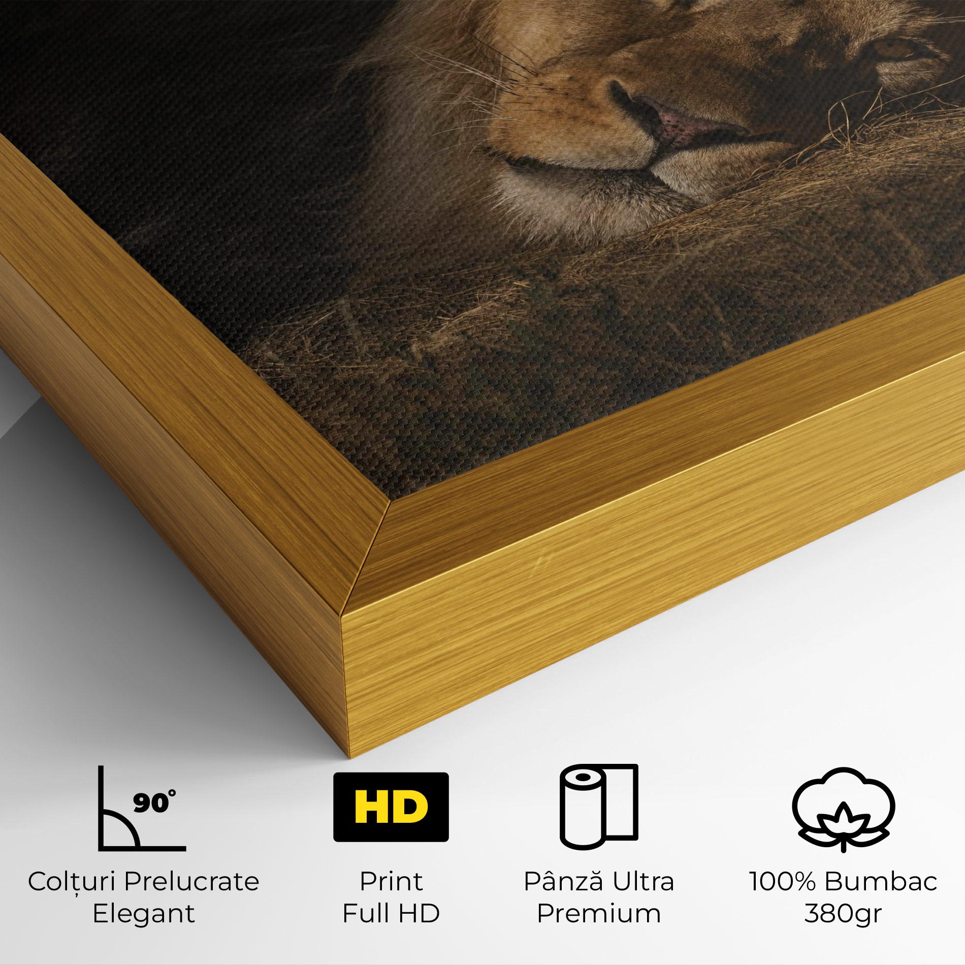 Tablou Canvas Lion Laying Down mockup 4