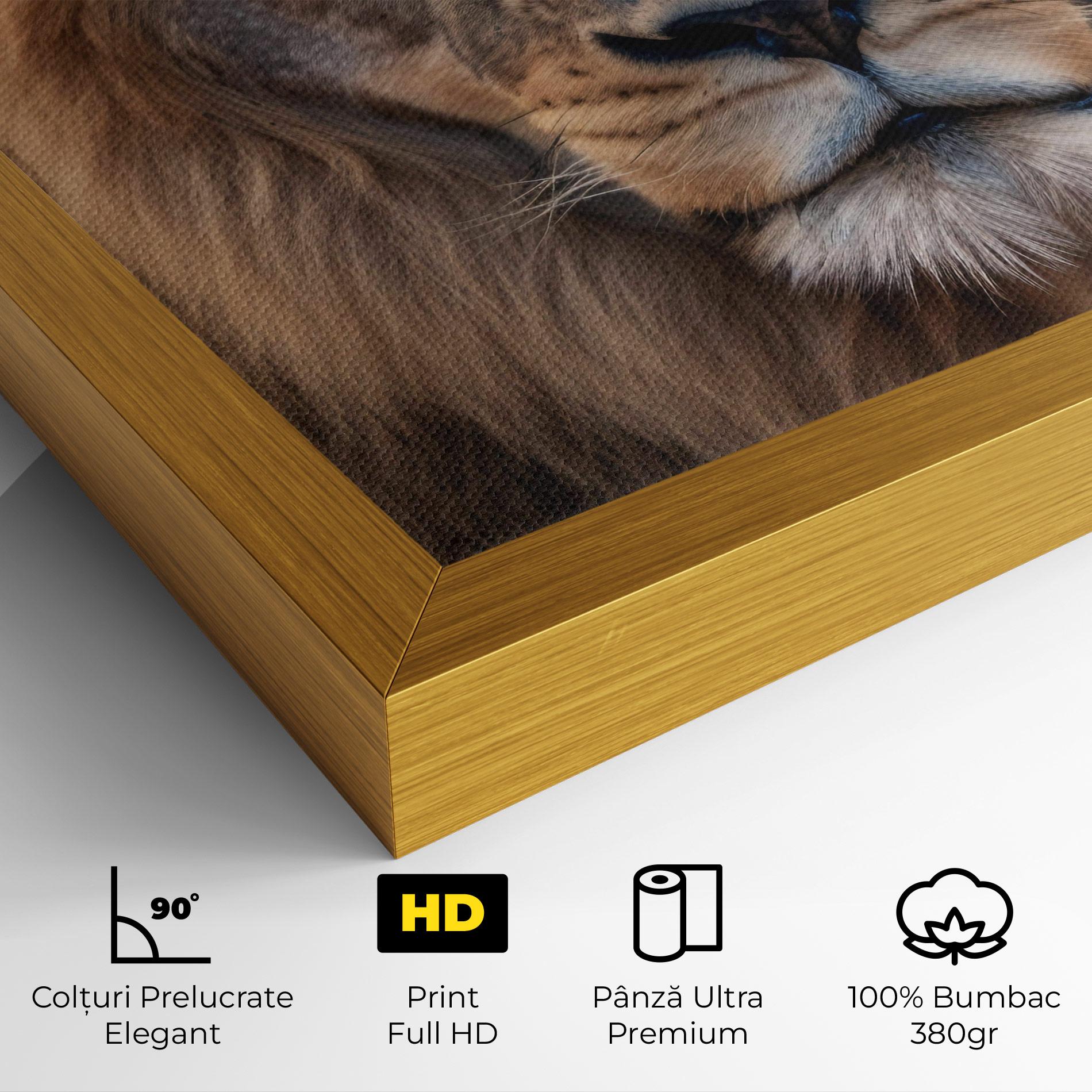 Tablou Canvas Wild Lion View mockup 4