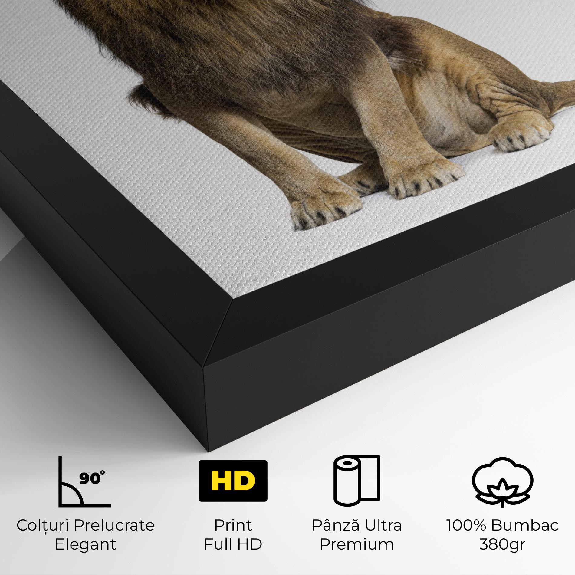 Tablou Canvas Big Lion mockup 4
