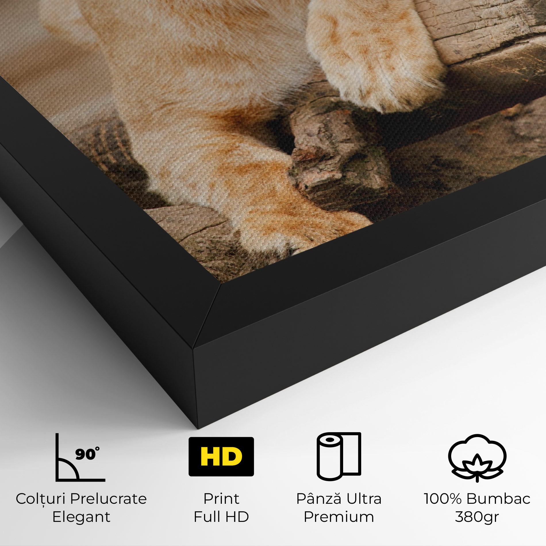 Tablou Canvas Female Lion Sitting mockup 4