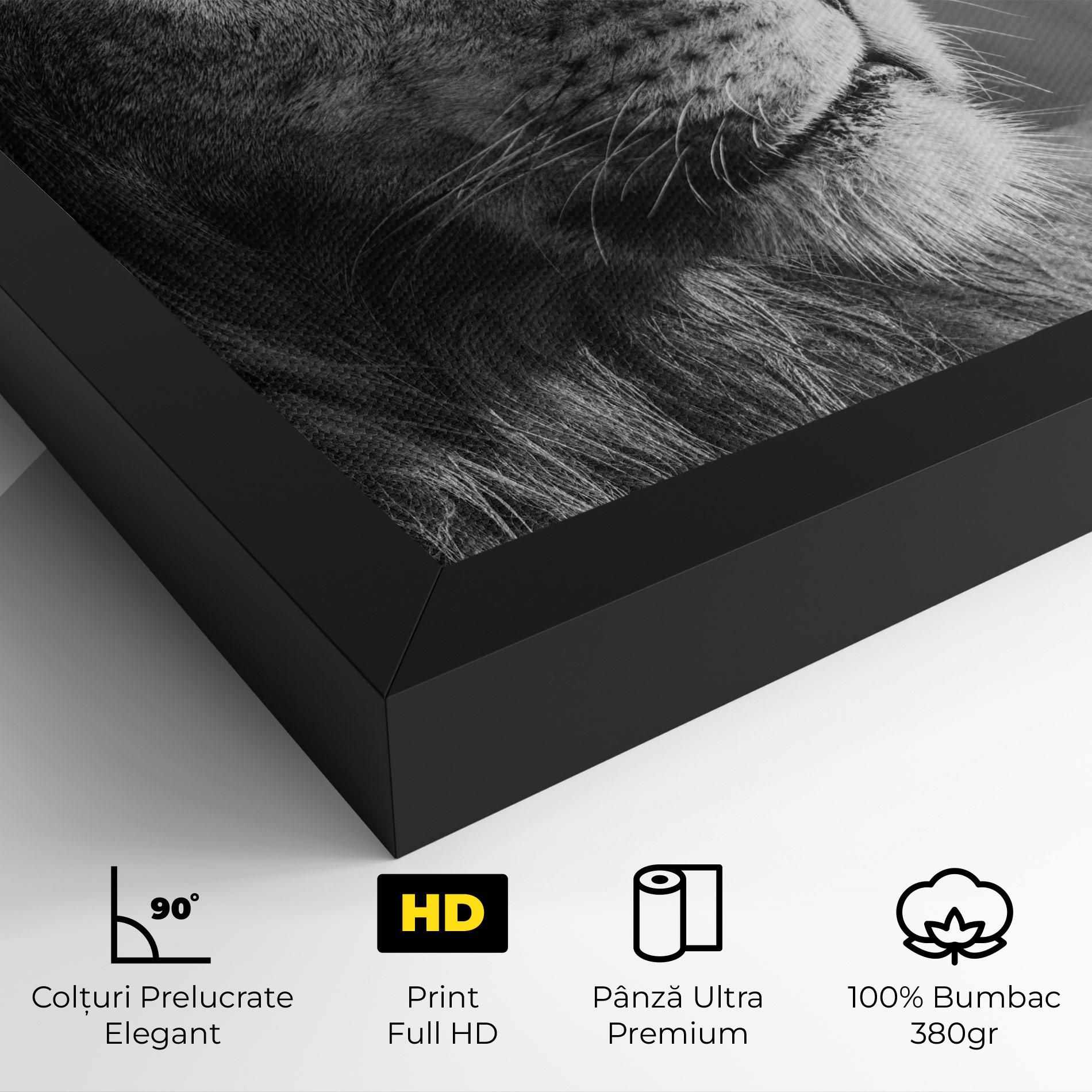 Tablou Canvas Grey Lion Head mockup 4