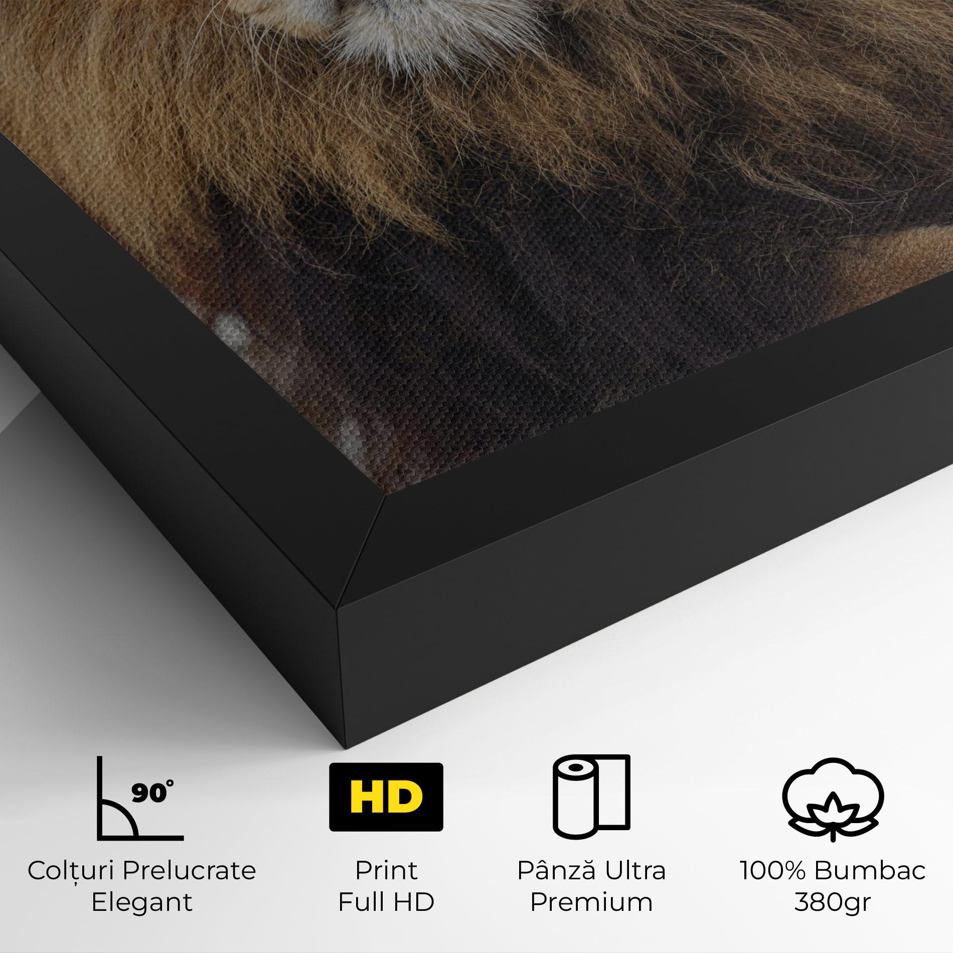 Tablou Canvas Lion Chilling mockup 4