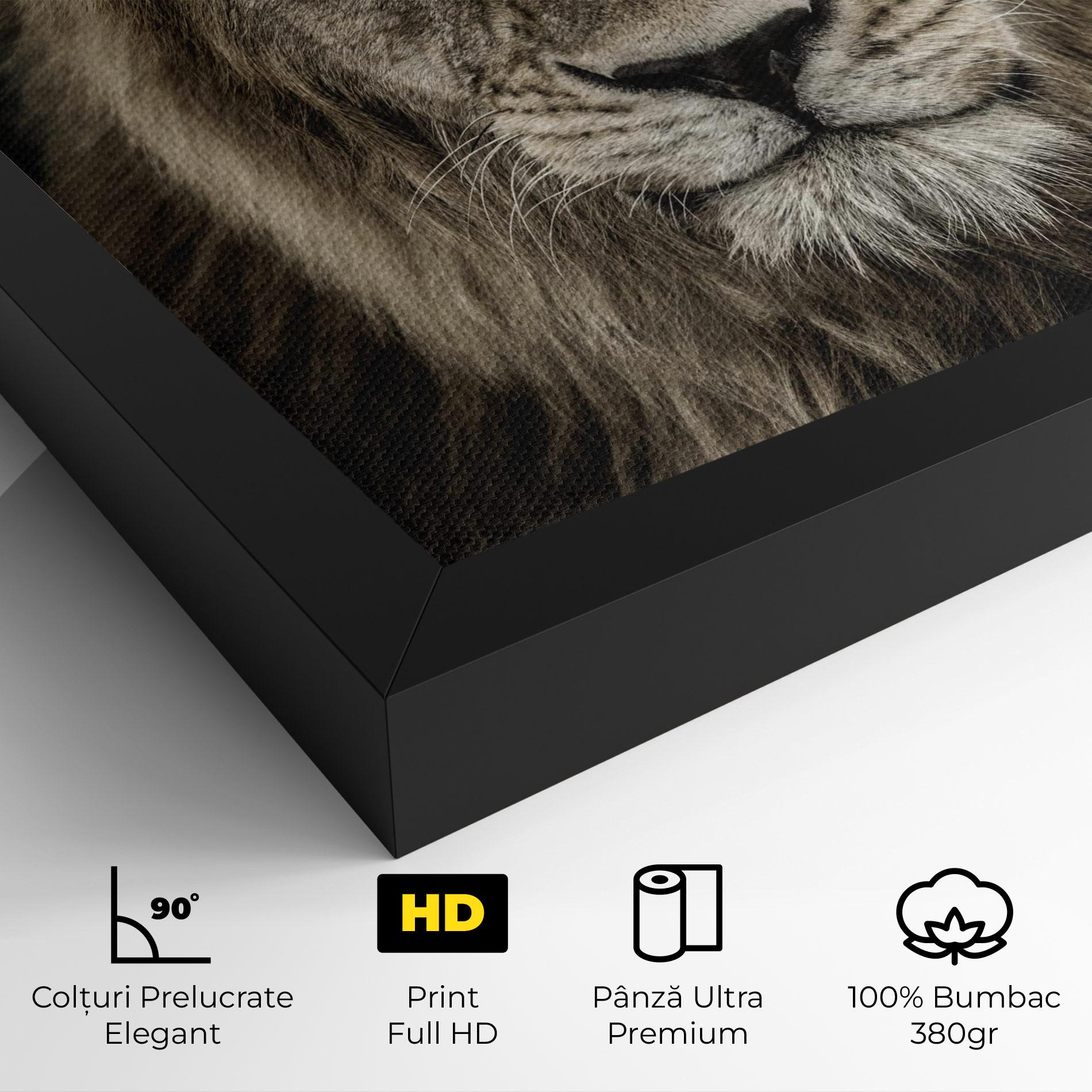 Tablou Canvas Lion Close Up mockup 4