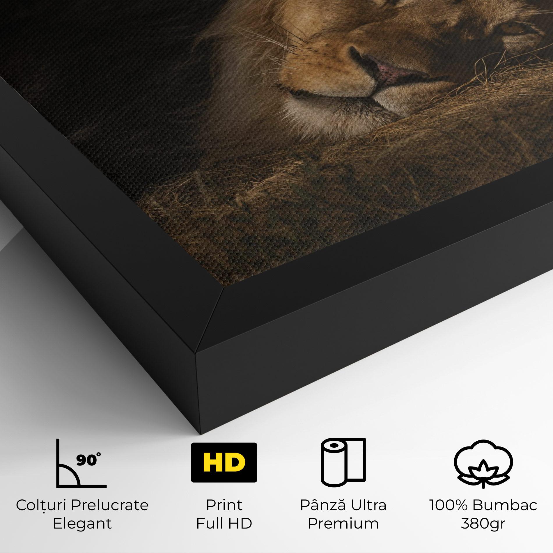 Tablou Canvas Lion Laying Down mockup 4