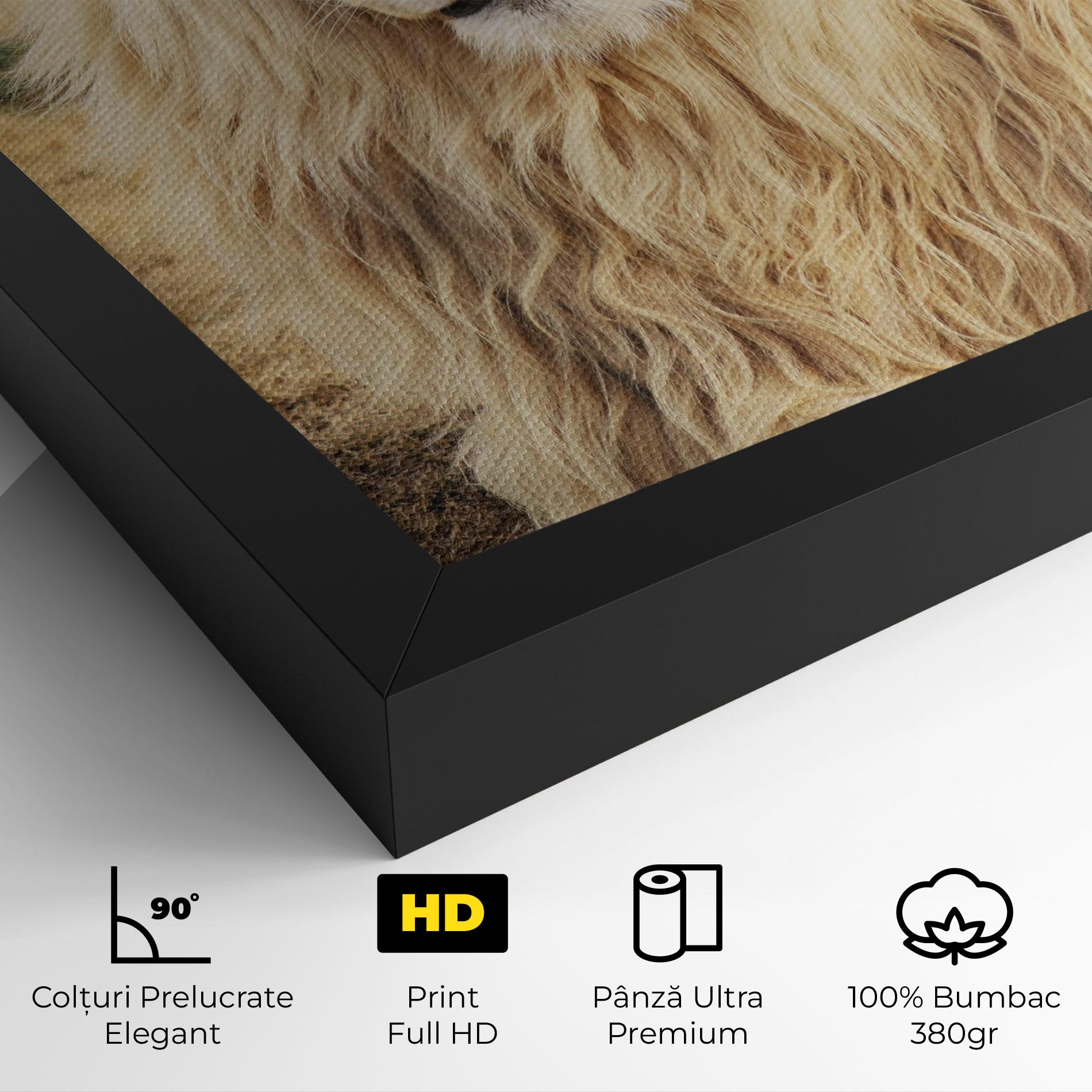 Tablou Canvas White Lion mockup 4