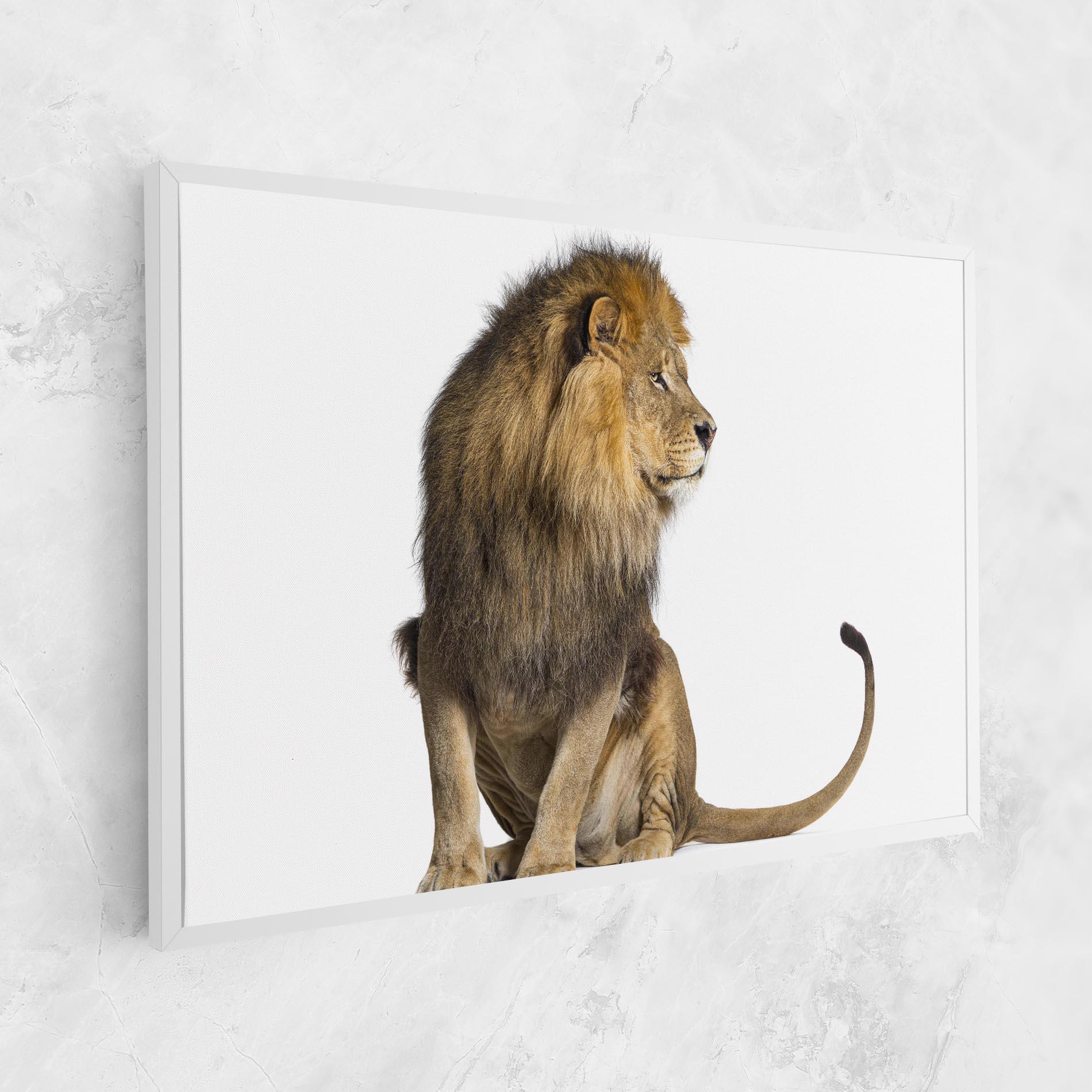 Tablou Canvas Big Lion mockup 1