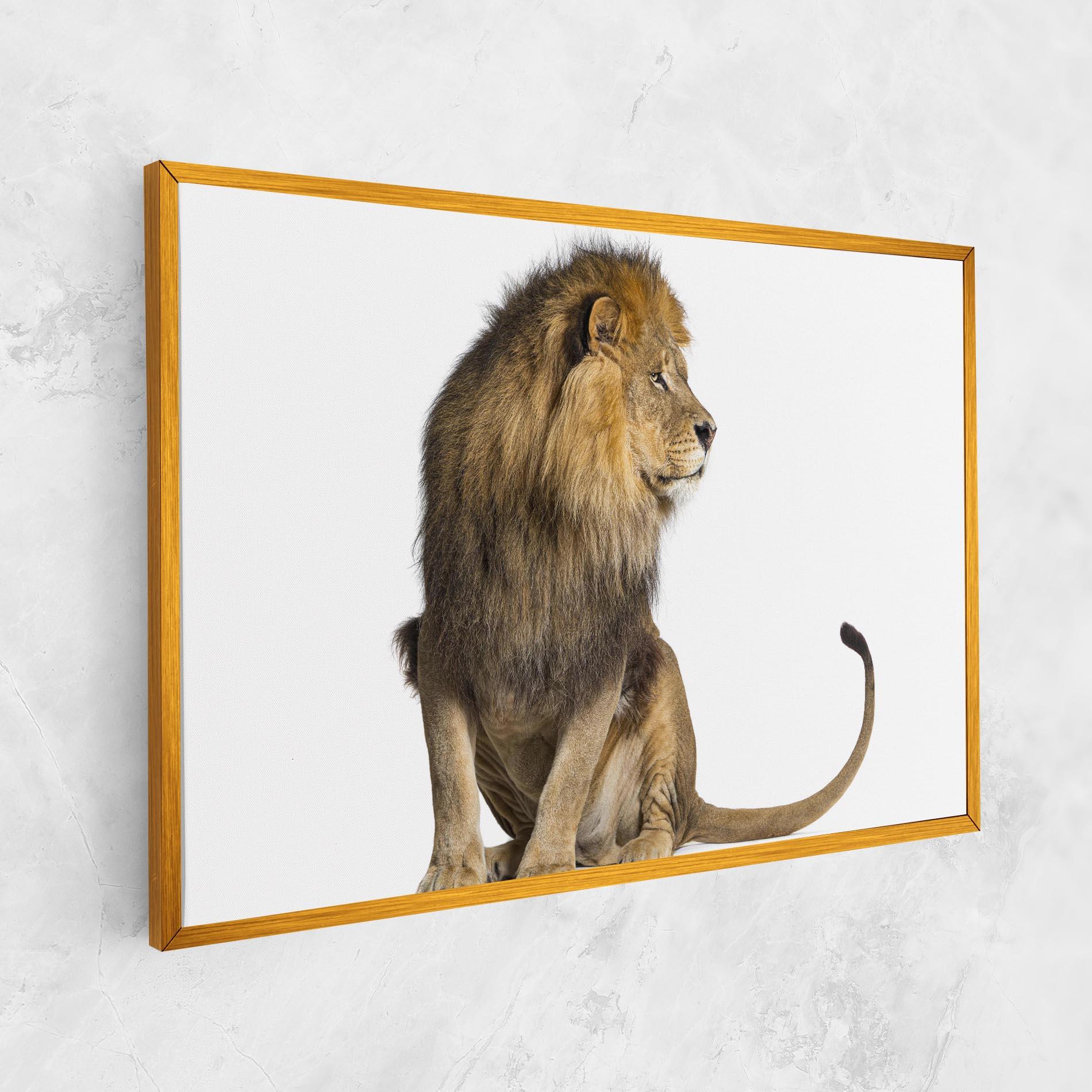 Tablou Canvas Big Lion mockup 1